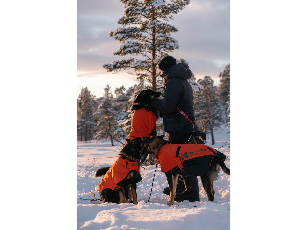 Non-stop dogwear Long distance + jacket vinterjakke – Oransje