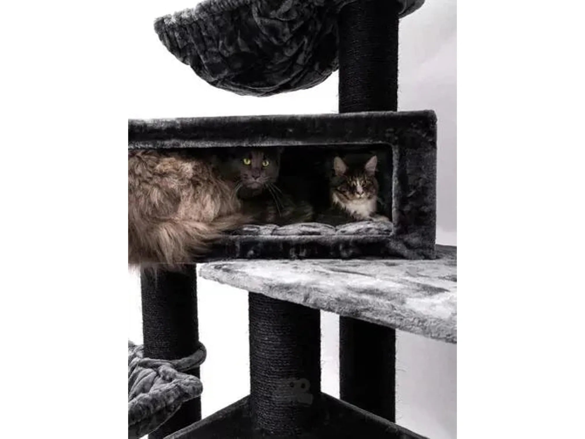 To katter i et stort, grått XXL klorestativ med flere nivåer og sovehus.