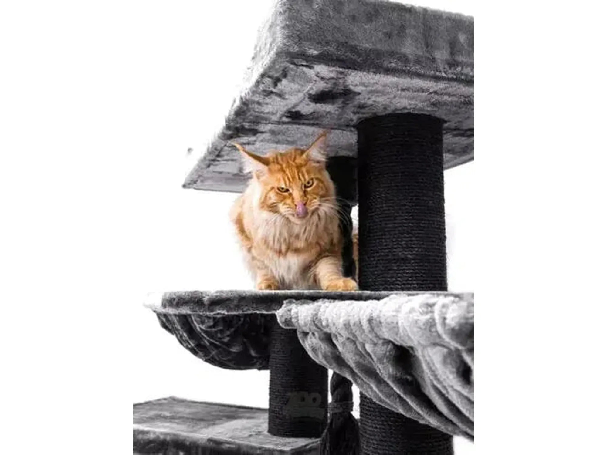 Stor grå XXL klorestativ for katter med en oransje Maine Coon på en plattform.