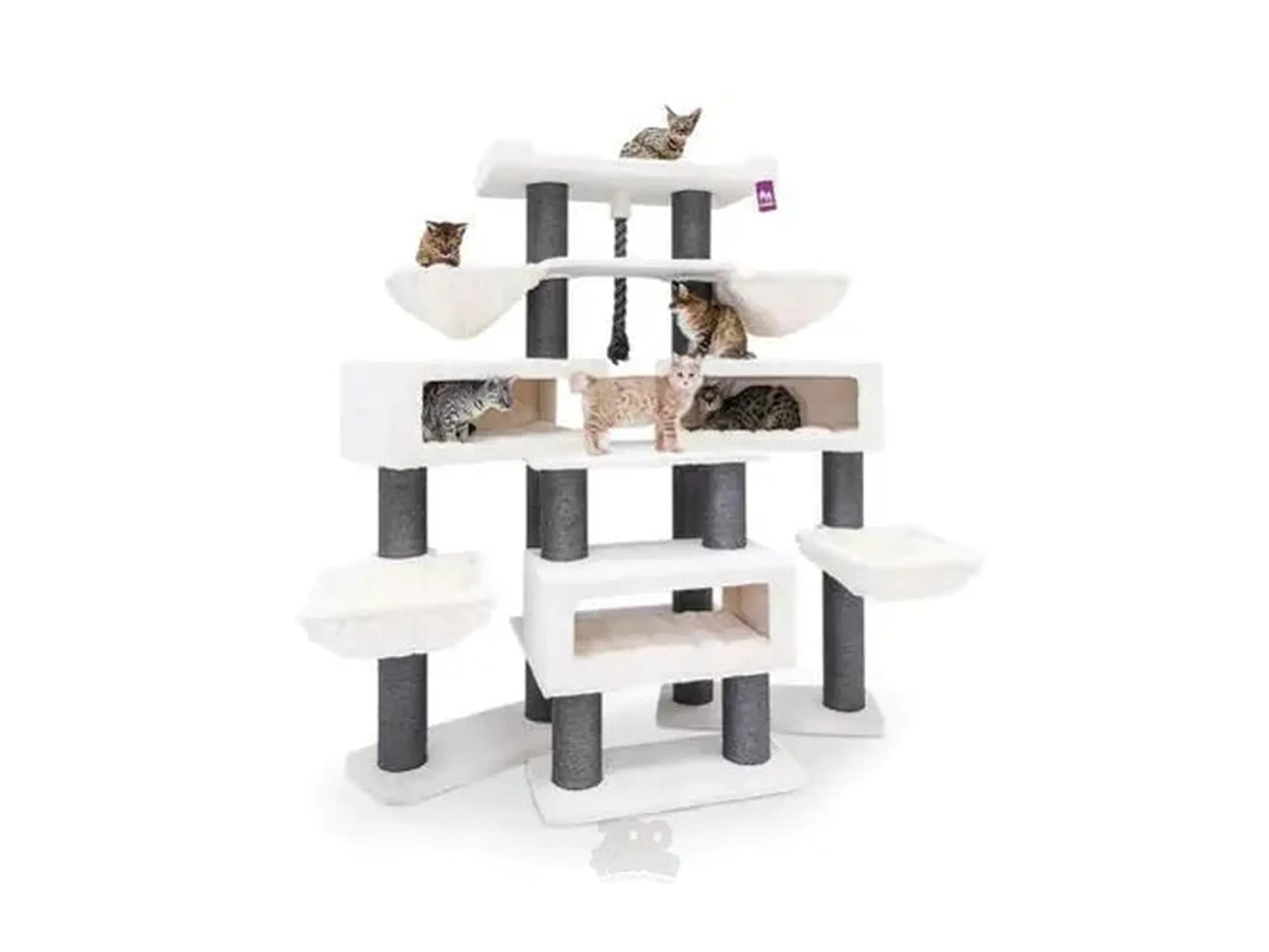 Lucky Bastards Alley 200 (187x82x200cm) - Petrebels