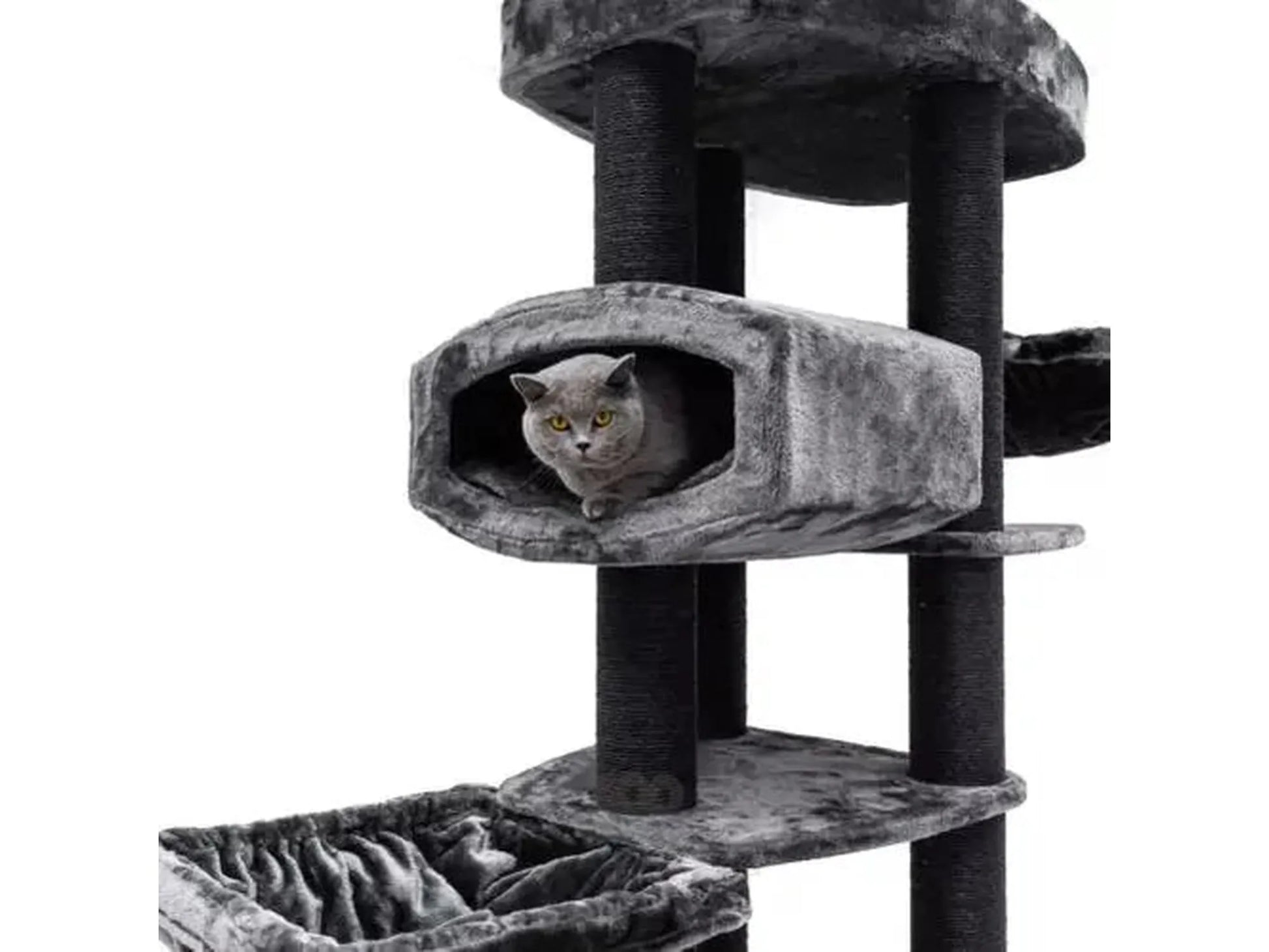 Grått Petrebels Lucky Bastards Drive 195 kloretre med en katt i hulen, sisalstolper og flere nivåer.