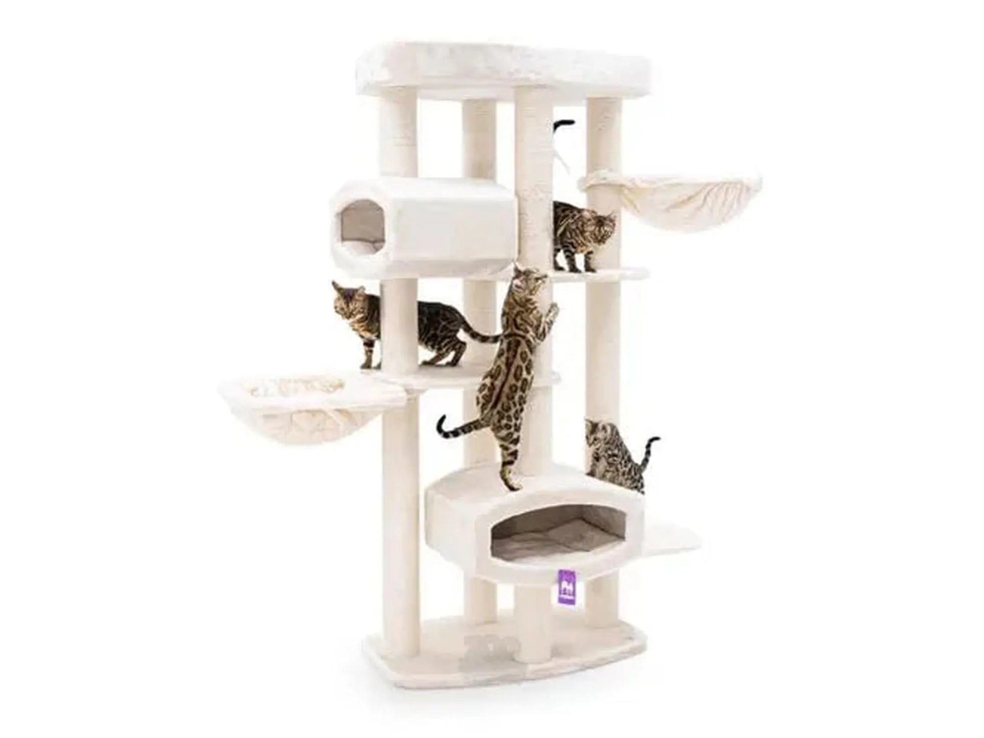 Cream Petrebels Lucky Bastards Drive 195 cat tree with multiple levels, sisal posts, and cats.