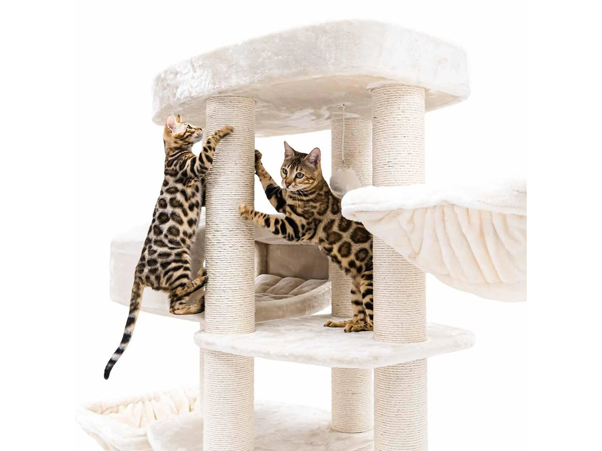 Petrebels Drive 195 med katt