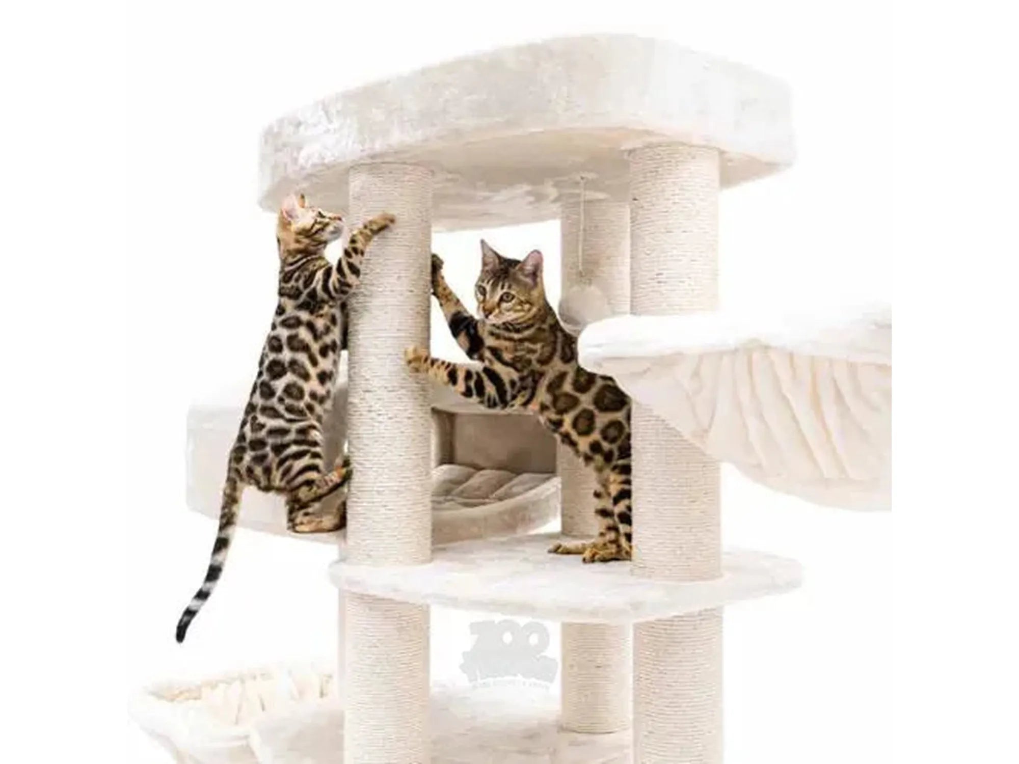 Cream Petrebels Lucky Bastards Drive 195 cat tree with two Bengal cats climbing sisal posts.