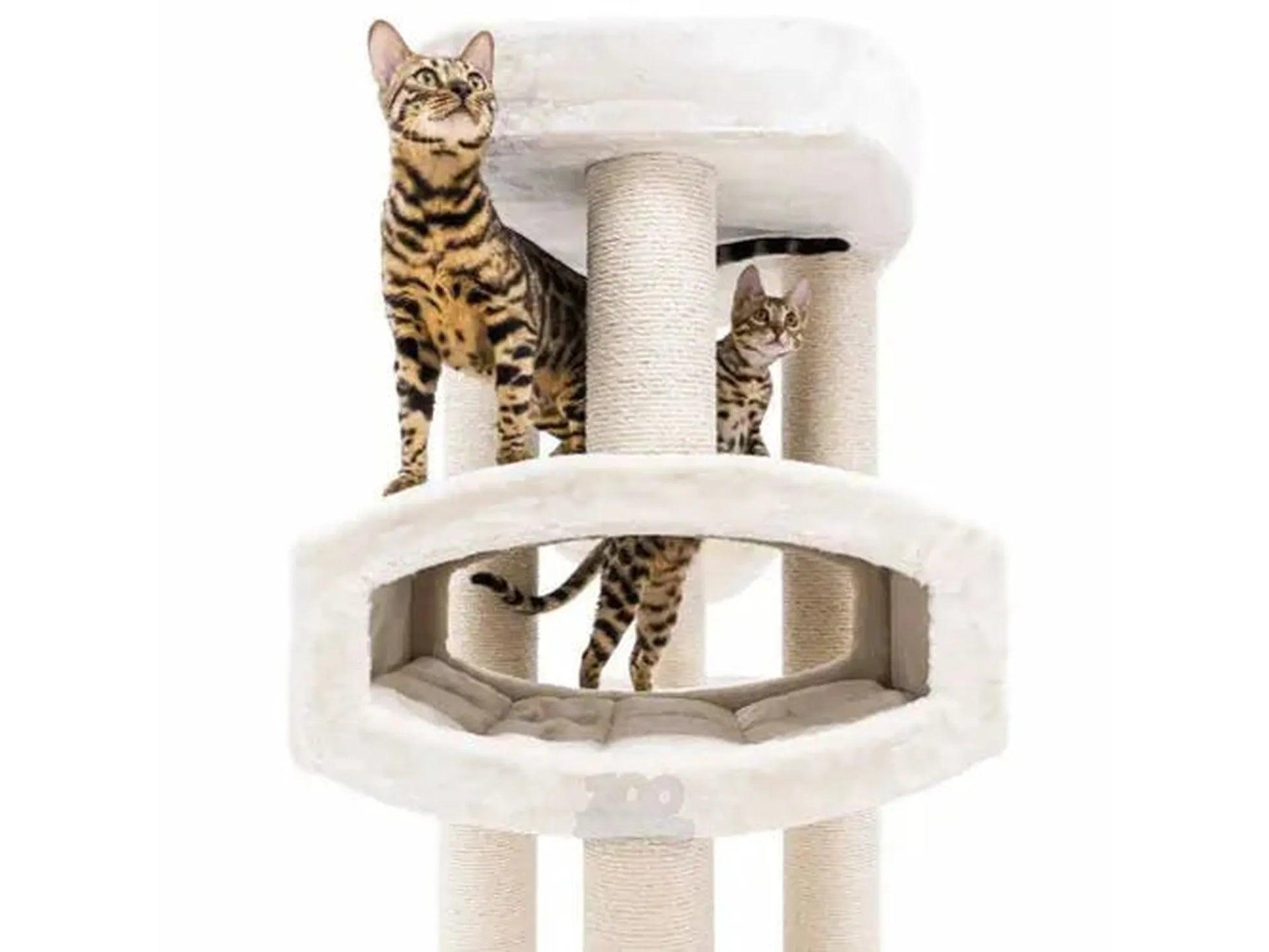 Cream Petrebels Drive 195 XXL cat tree with sisal scratching posts, tunnel, and two Bengal cats.
