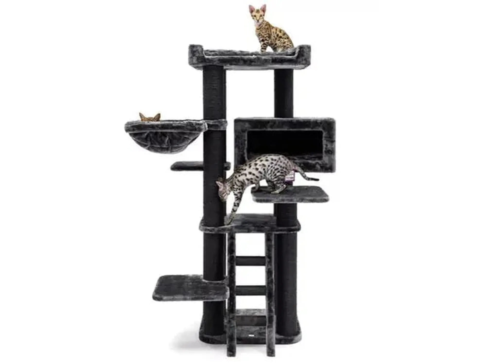 Petrebels Cat Tree Estate 170 i pepperfarge med flere nivåer, sovehule, hengekøye og klorestolper.