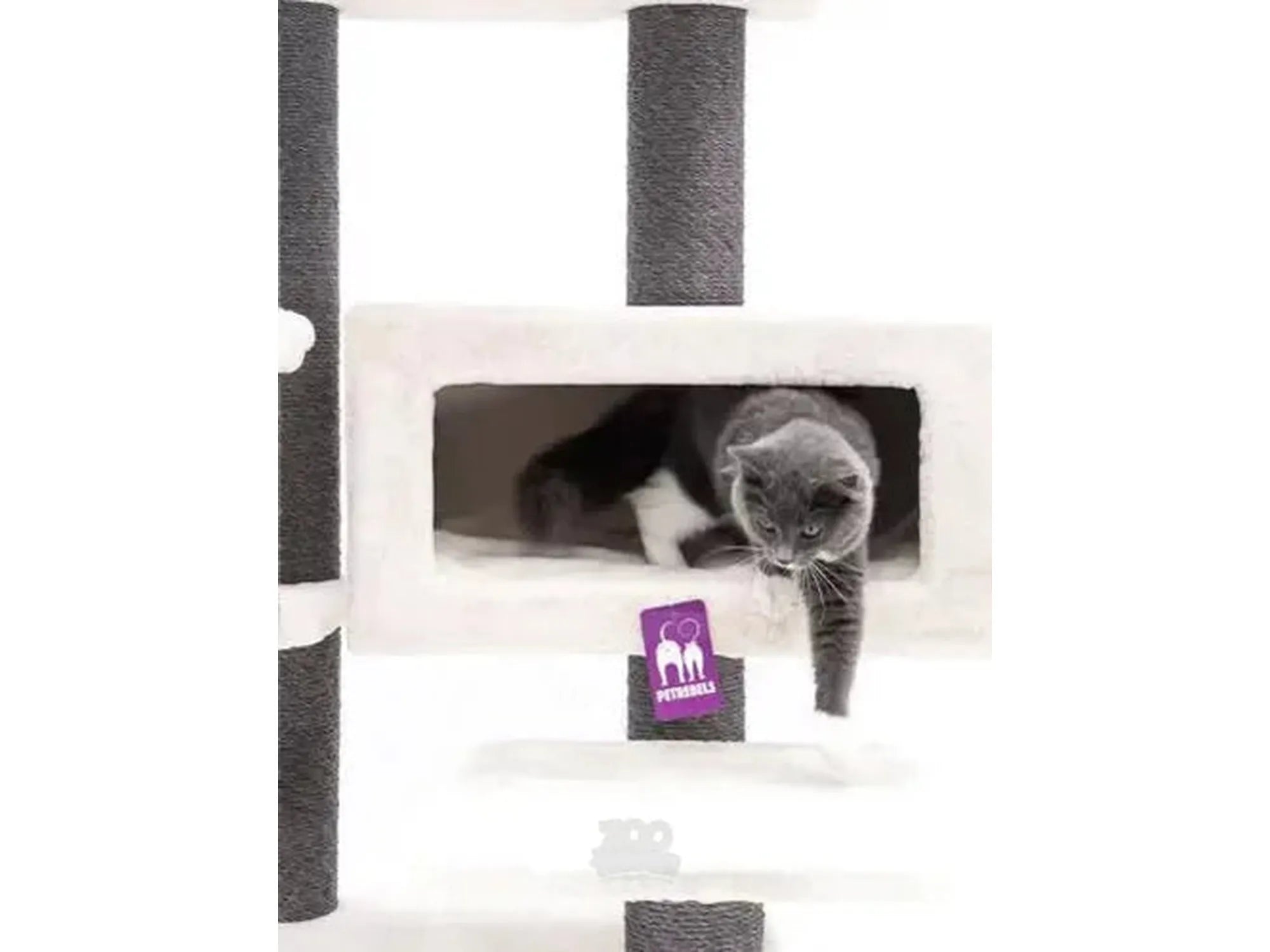 Grå katt i Petrebels Estate 170 kloretre med hvit plysj XXL sovehule og sisalstolper.
