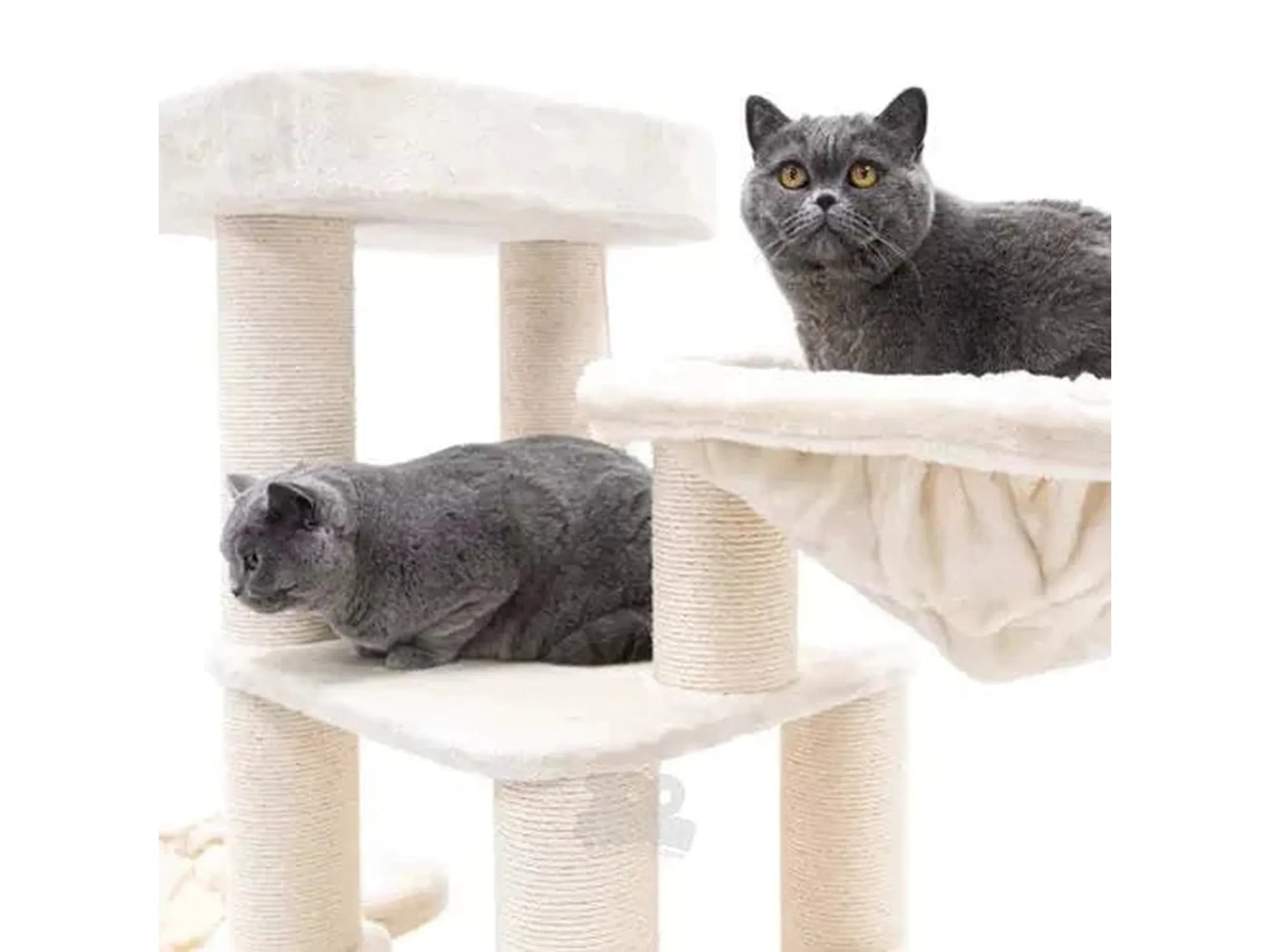 Cream Petrebels Lucky Bastards Interstate 173 cat tree with two grey cats.