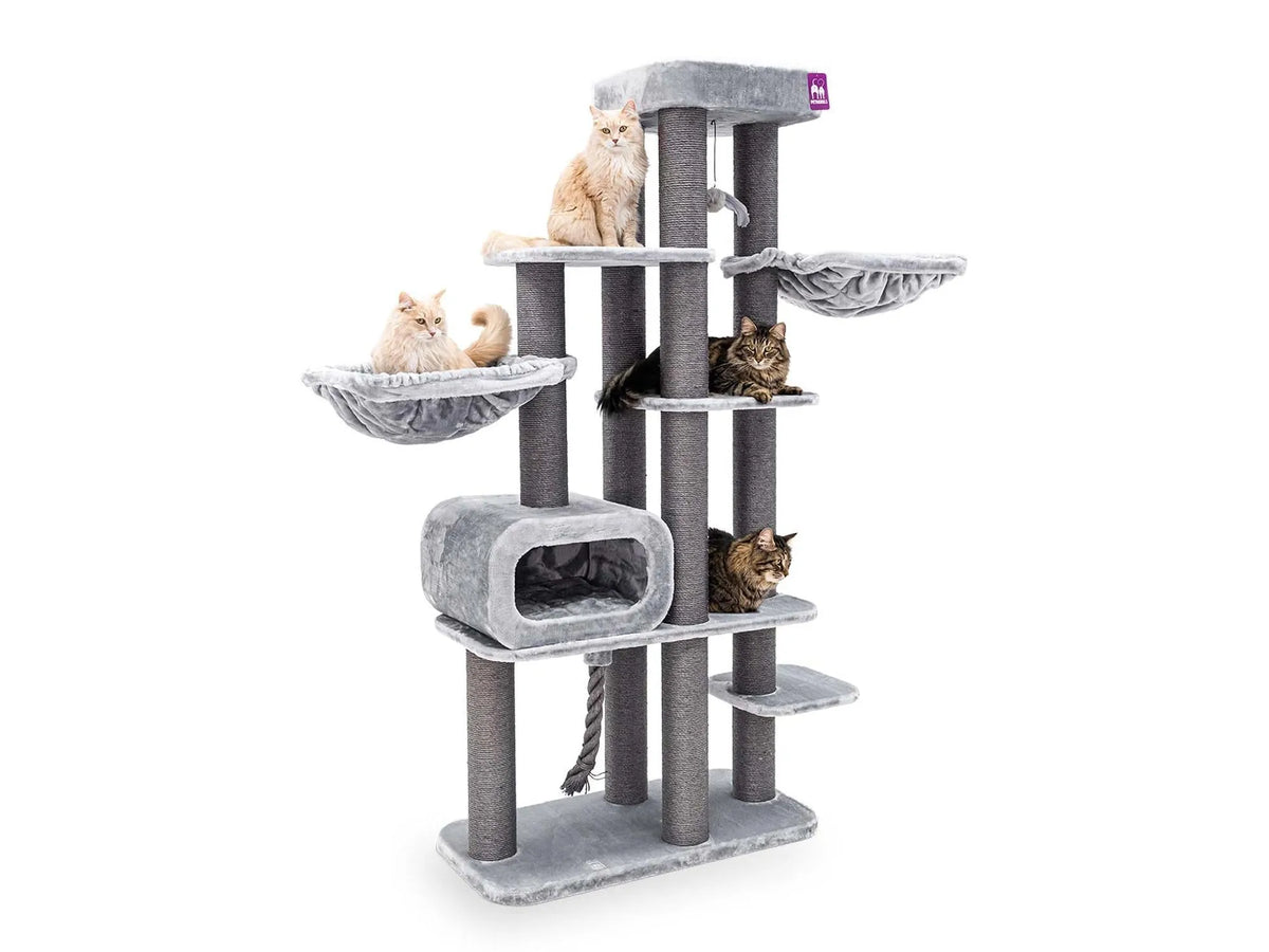 Petrebels Interstate 199 kattetre i grey