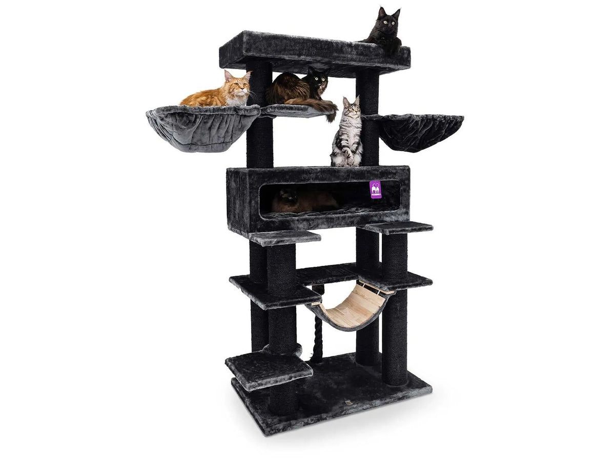 Petrebels Lookout 198 XXL kattetre i pepper