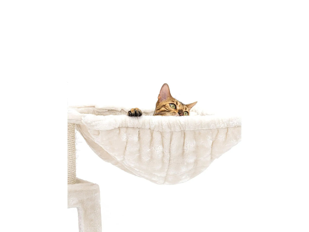 Petrebels Parklane 175 med katt