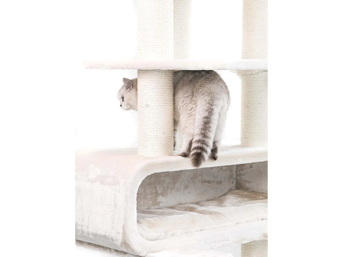 Petrebels Route 180 med katt