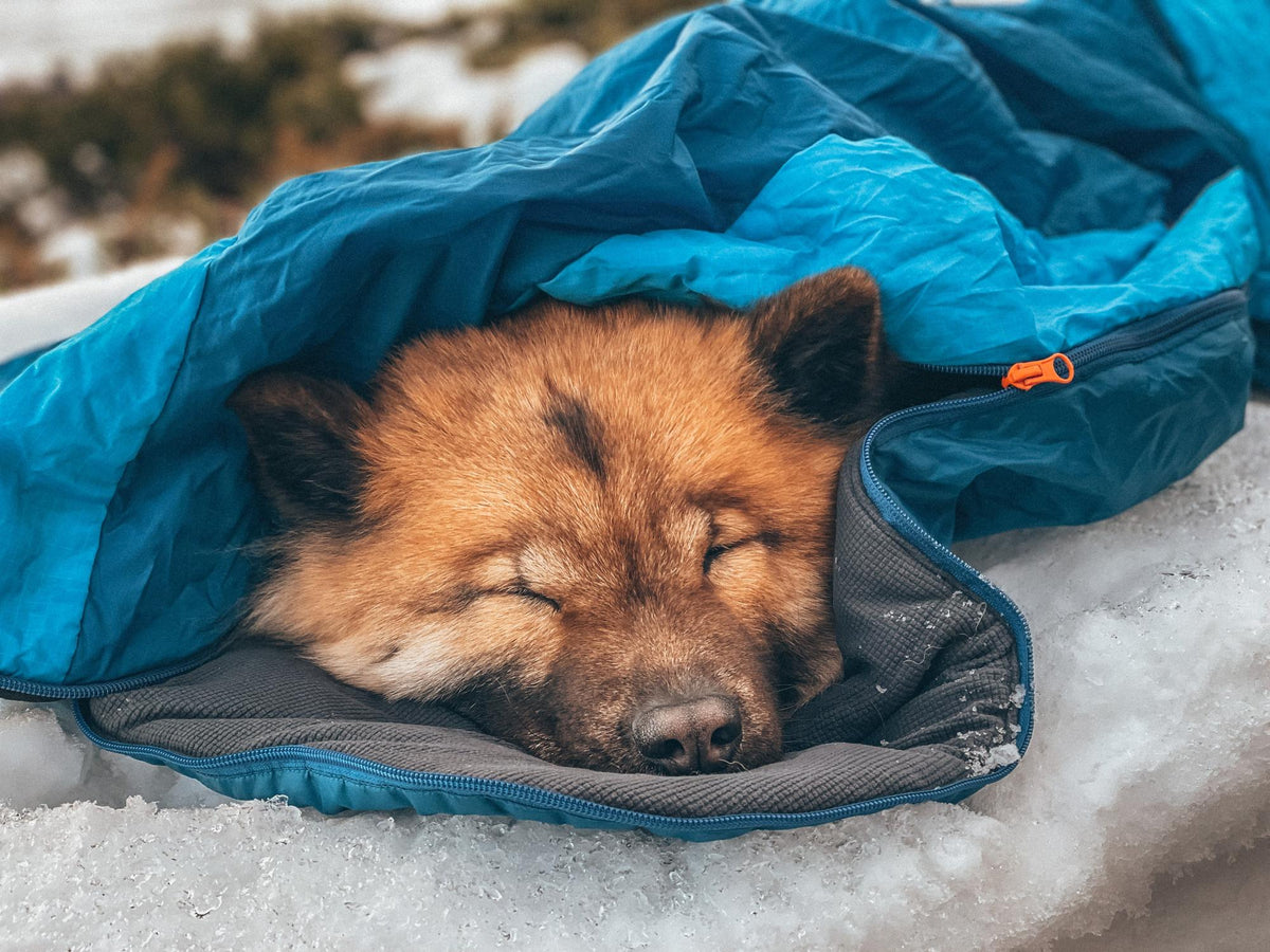 Non-stop dogwear Ly sleeping bag sovepose – Blå