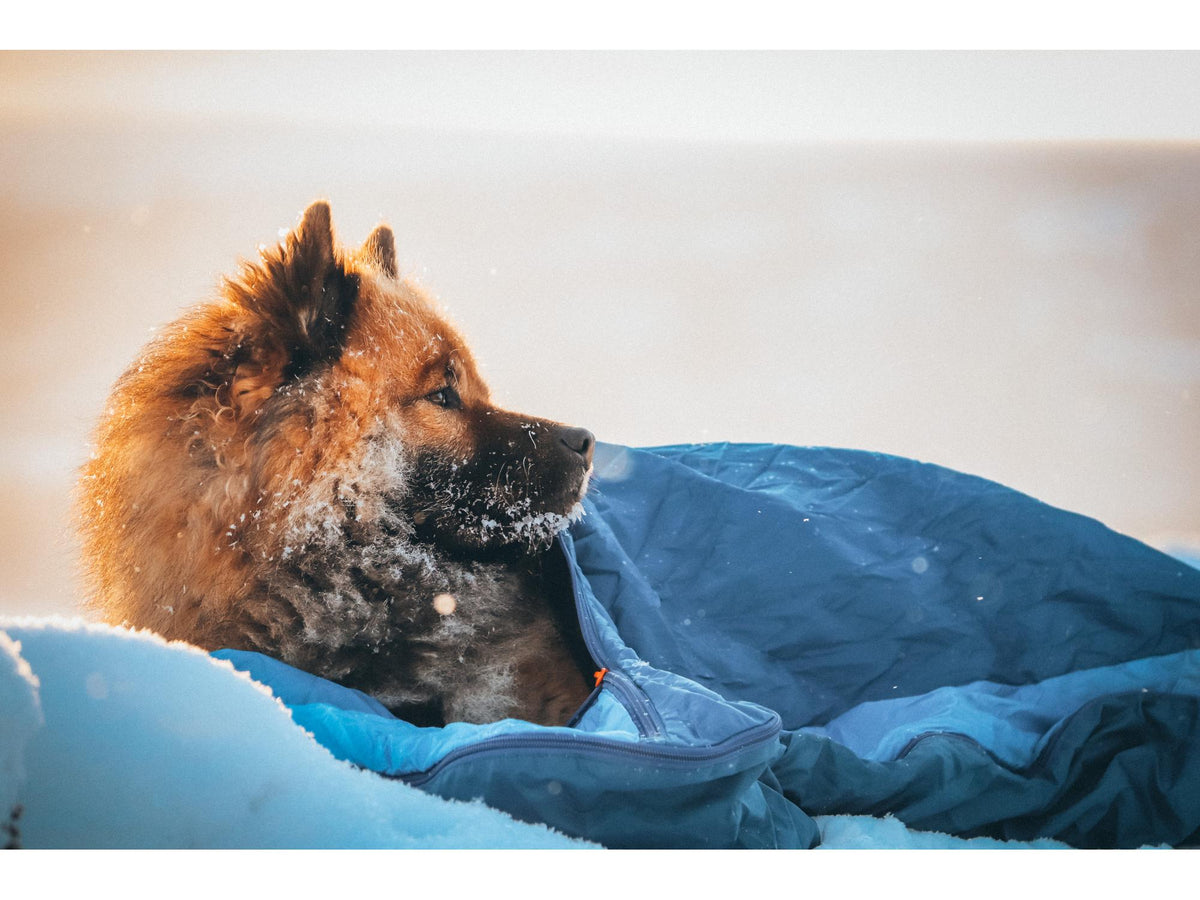 Non-stop dogwear Ly sleeping bag sovepose – Blå