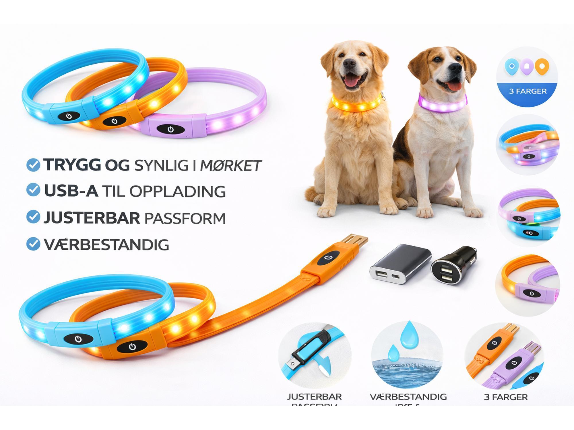 Lysende LED-halsbånd for hund – Oppladbart, klippbart og synlig i mørket-3