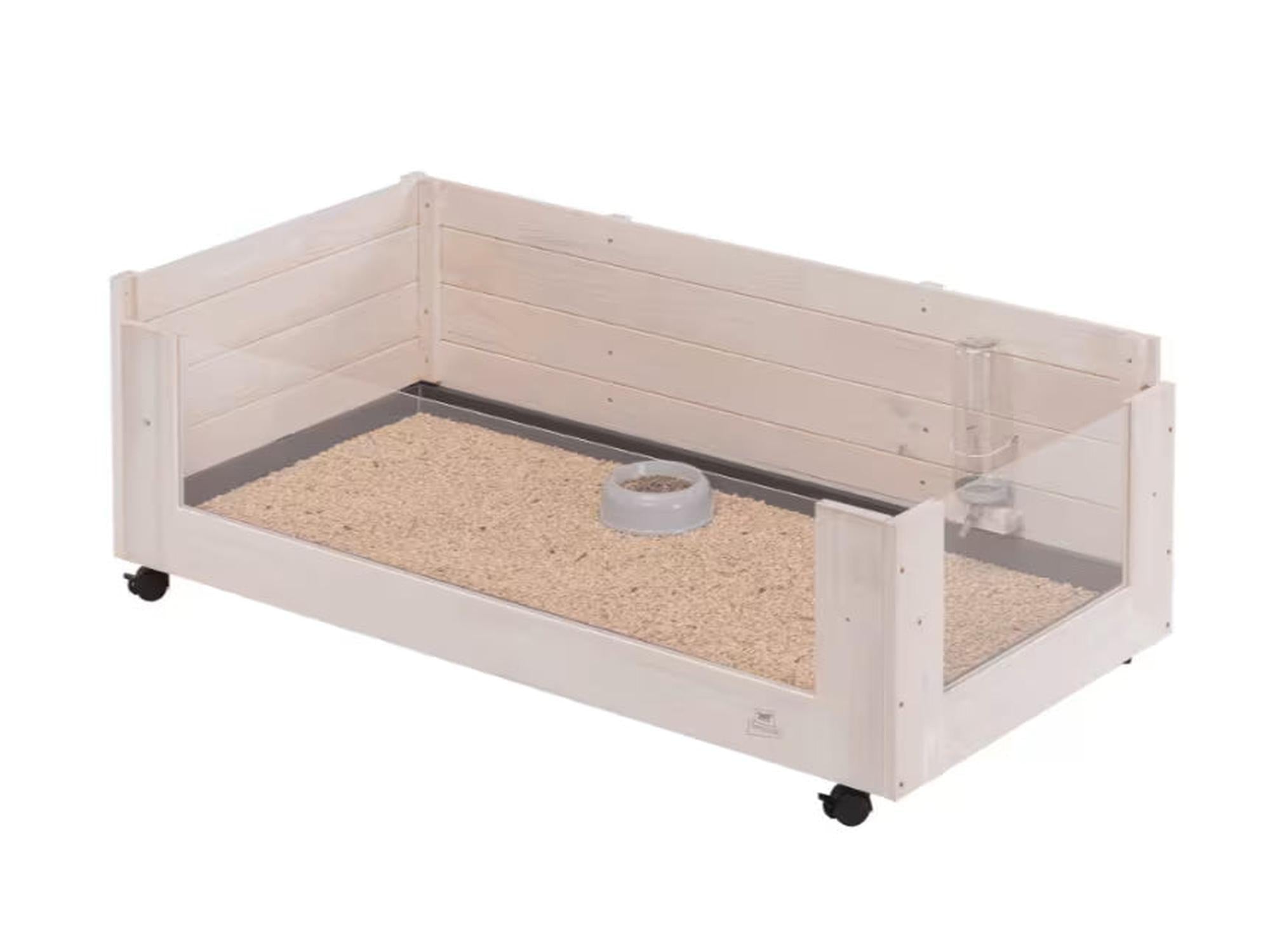 Lyst trebur for marsvin, med lav front i glass, strø, matskål og vannflaske.