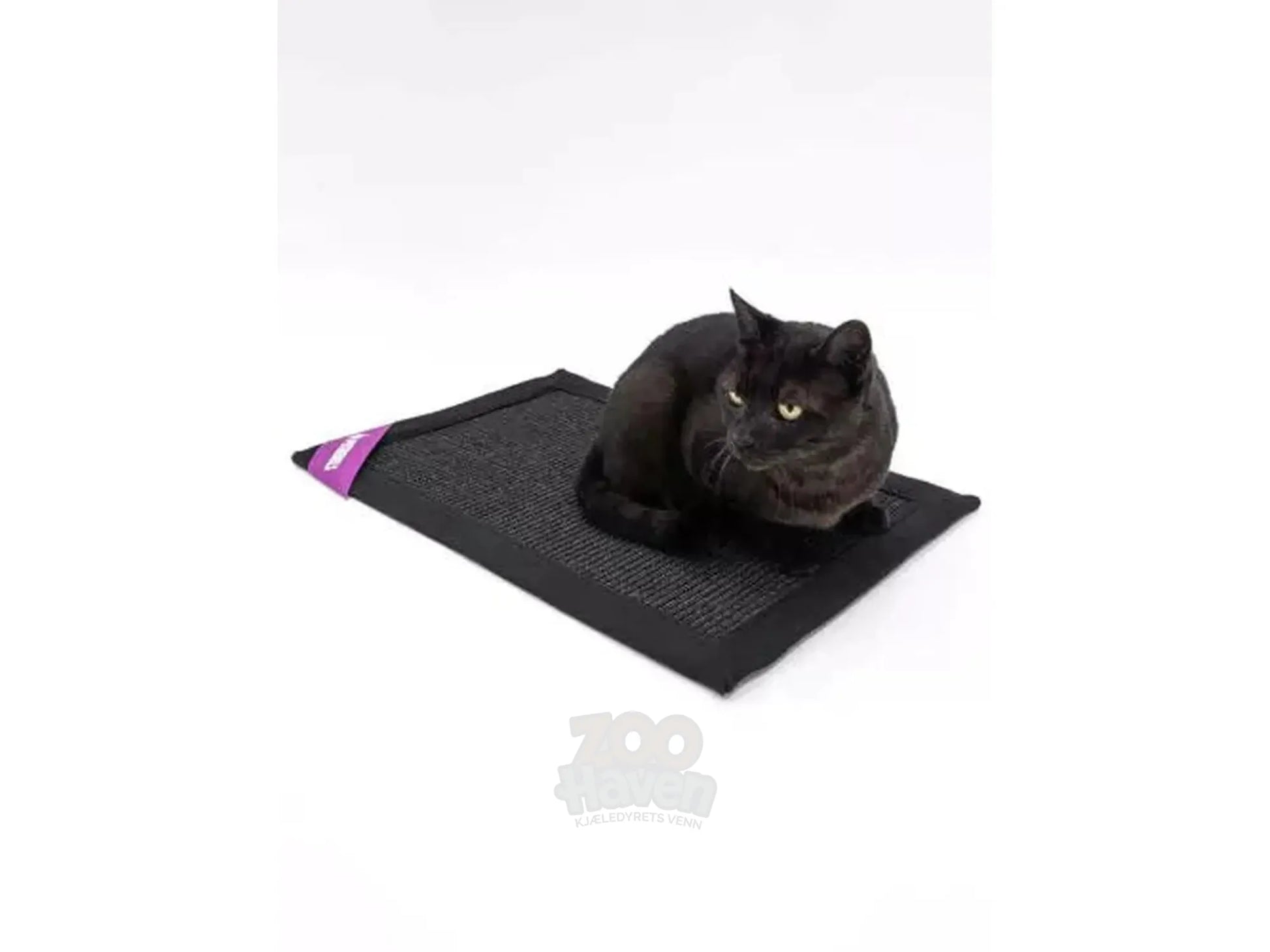 Svart katt ligger på en Mastermat 60 klorematte i mørk sisal med lilla detalj.