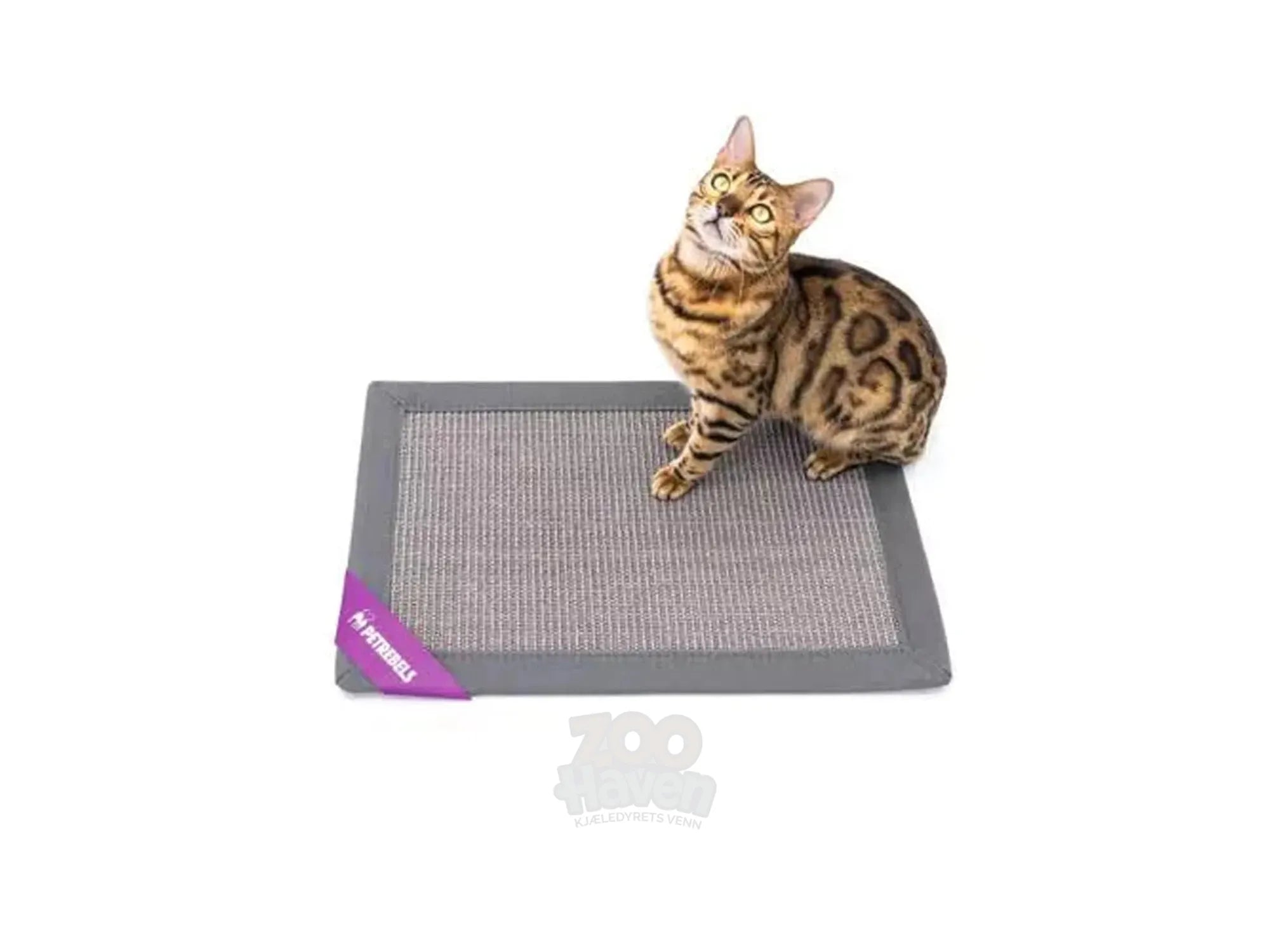 Bengal katt på grå Mastermat 60 sisal klorematte med lilla Petrebels-merke.