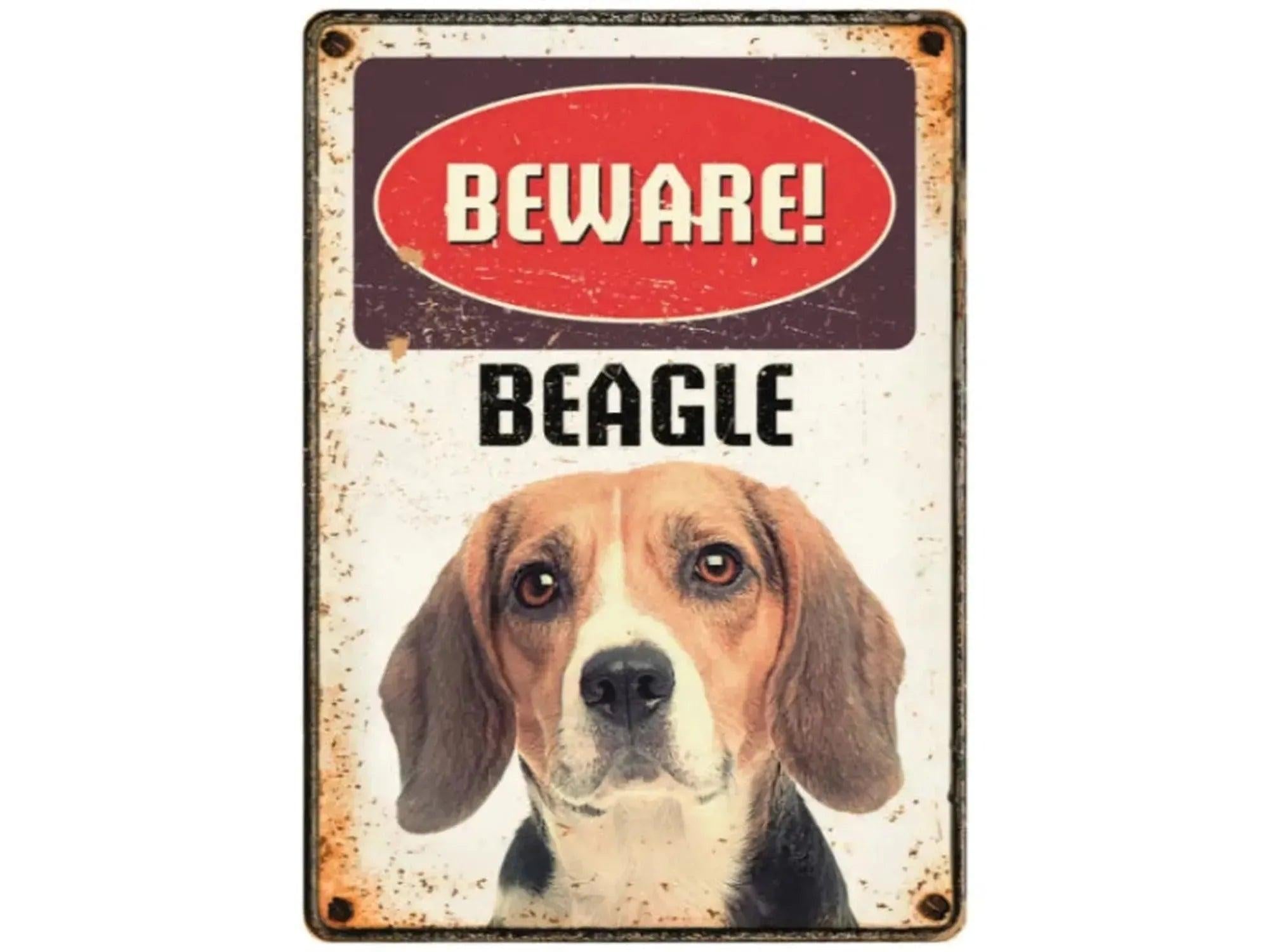 Metallskilt 21x14,8cm med vintage design, rød "BEWARE!" og "BEAGLE" tekst over et bilde av en beagle.