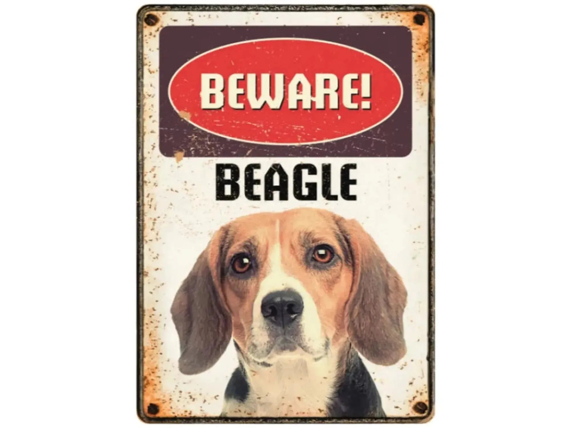 Metallskilt 21x14,8cm med vintage design, rød "BEWARE!" og "BEAGLE" tekst over et bilde av en beagle.