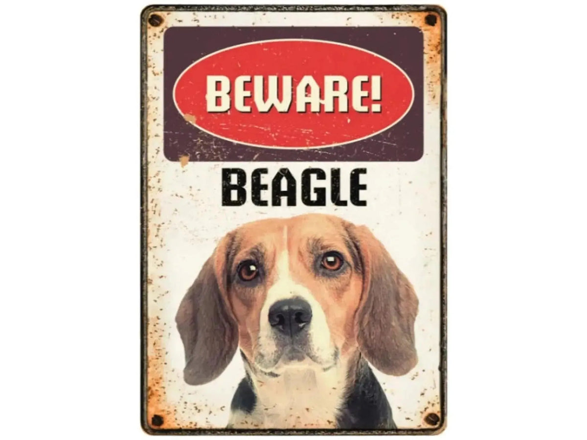 Metallskilt 21x14,8cm med vintage design, rød "BEWARE!" og "BEAGLE" tekst over et bilde av en beagle.