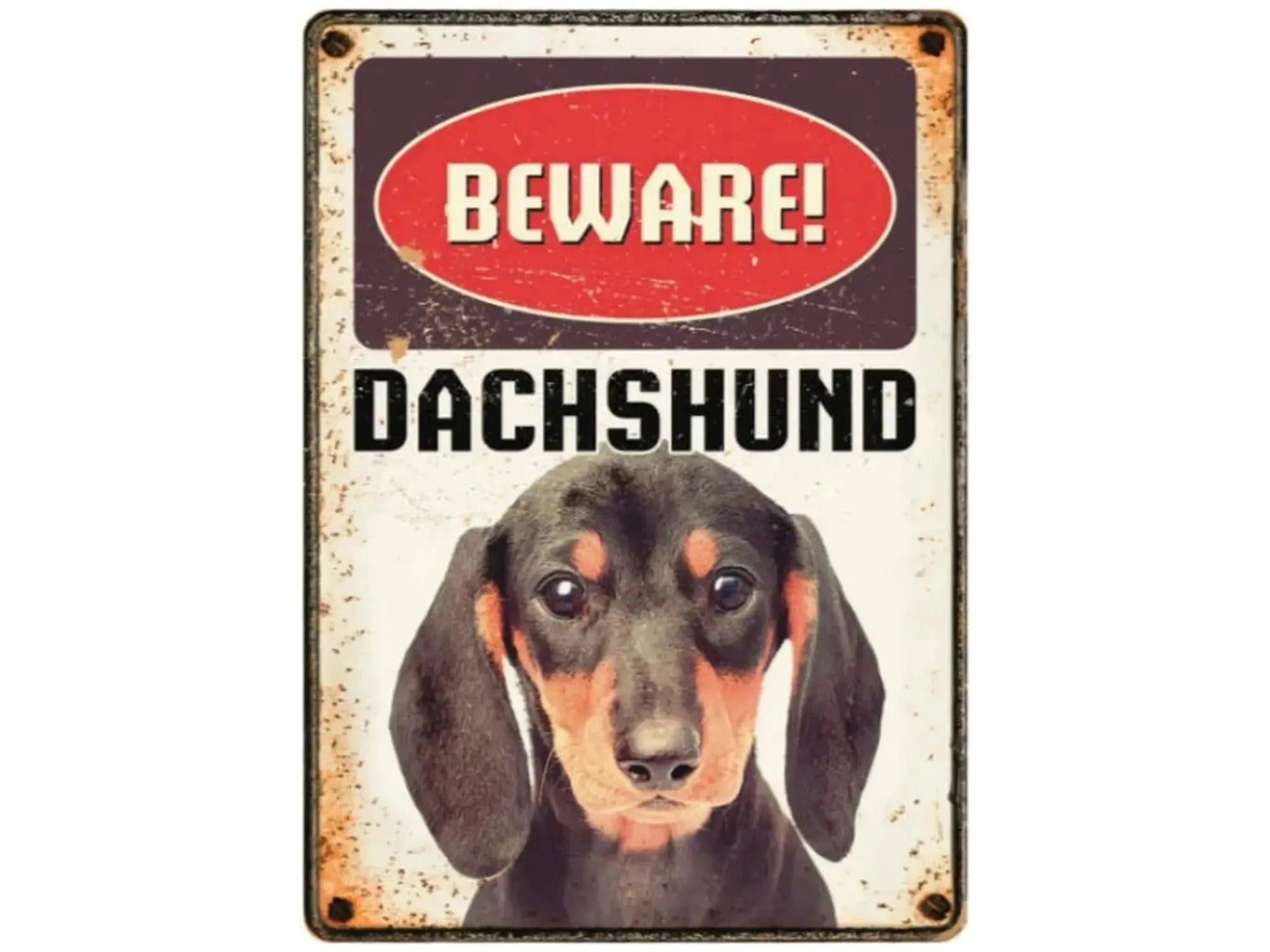 Rustikk metallskilt med "BEWARE! DACHSHUND" tekst og bilde av en svart og brun dachs.