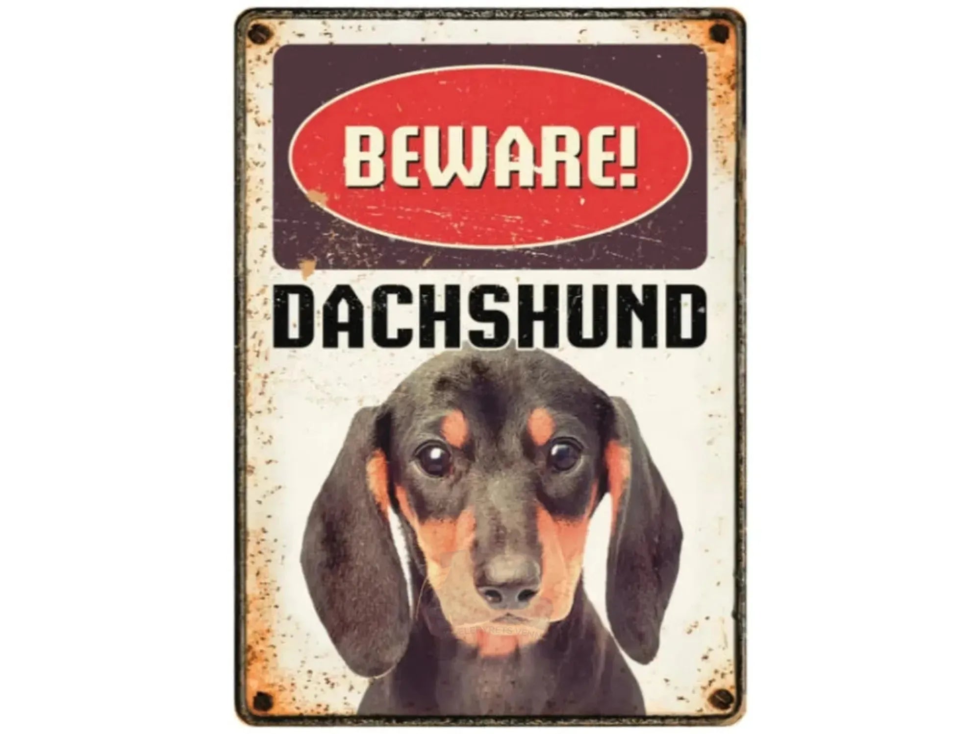 Metallskilt Beware Dachs 21x14,8cm