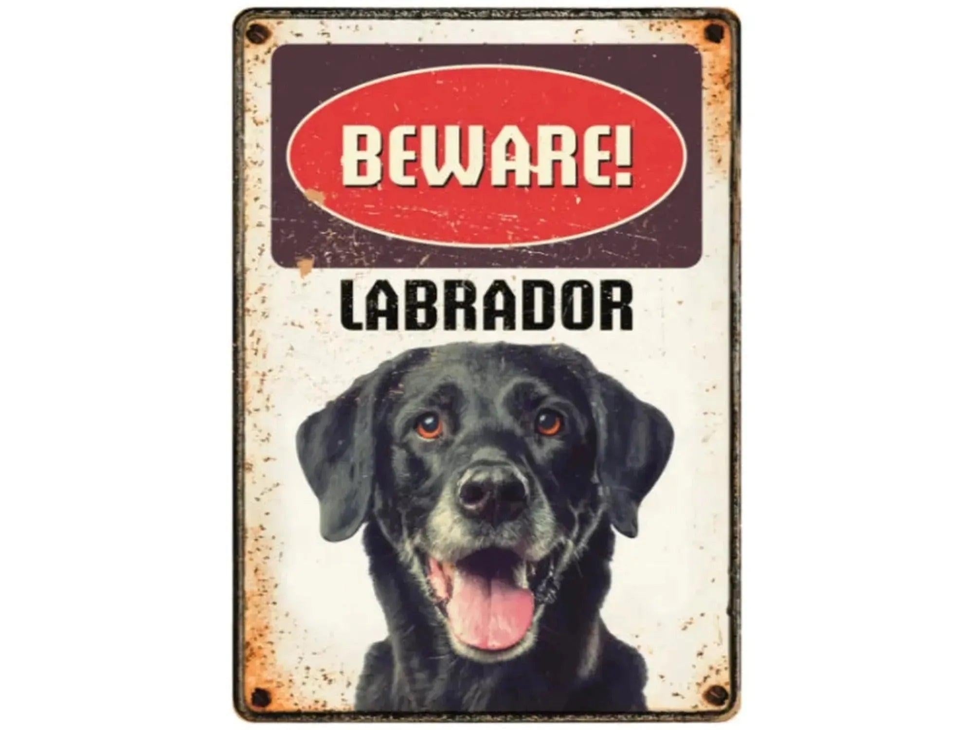 Metallskilt 21x14,8cm med "Beware! Labrador" og bilde av en svart labrador.