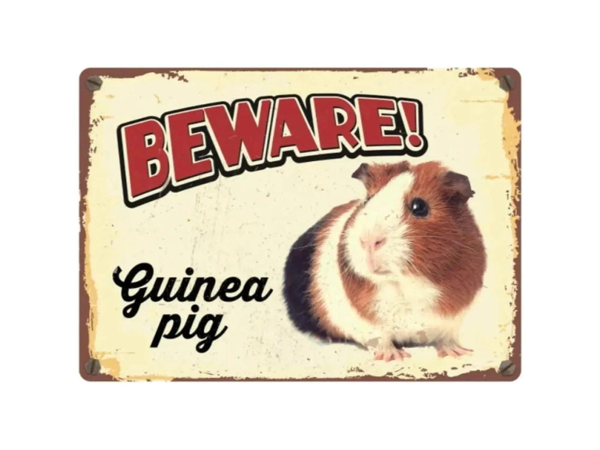 Vintage-stil metallskilt "BEWARE! Guinea pig" med bilde av et brunt, hvitt og svart marsvin.
