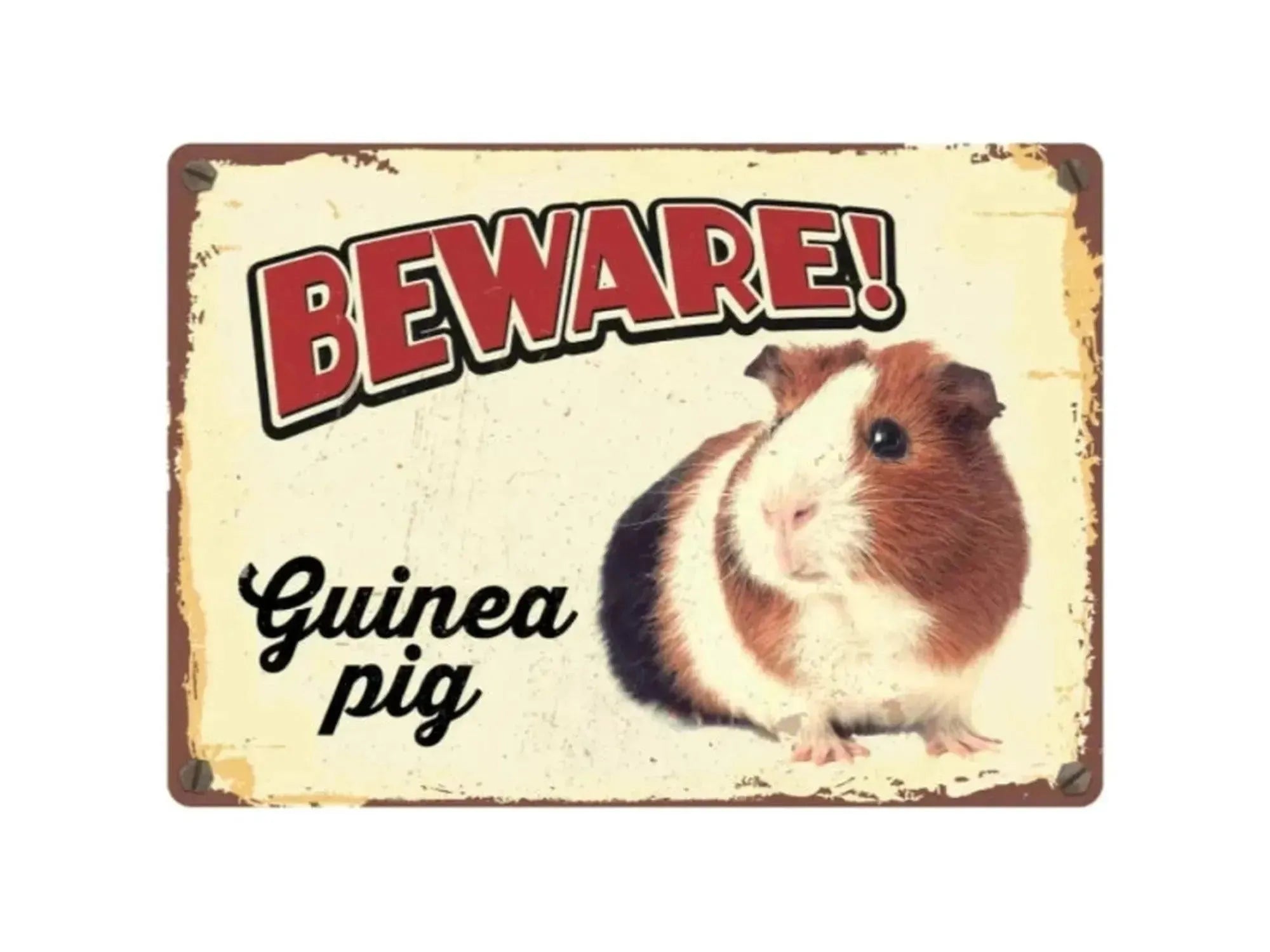 Vintage-stil metallskilt "BEWARE! Guinea pig" med bilde av et brunt, hvitt og svart marsvin.