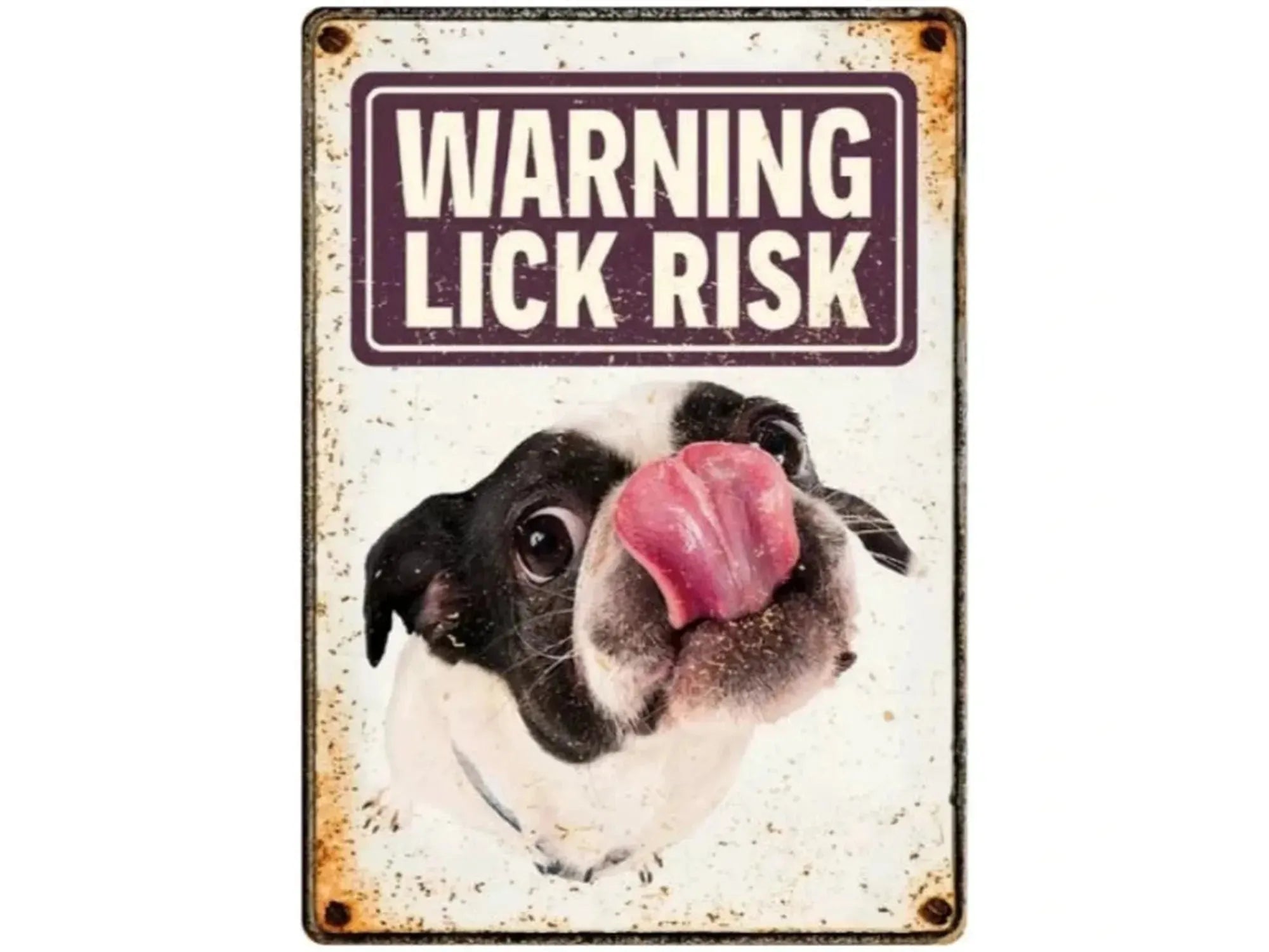 Metallskilt med hvit bakgrunn, en svart og hvit hund som slikker, og teksten "WARNING LICK RISK".