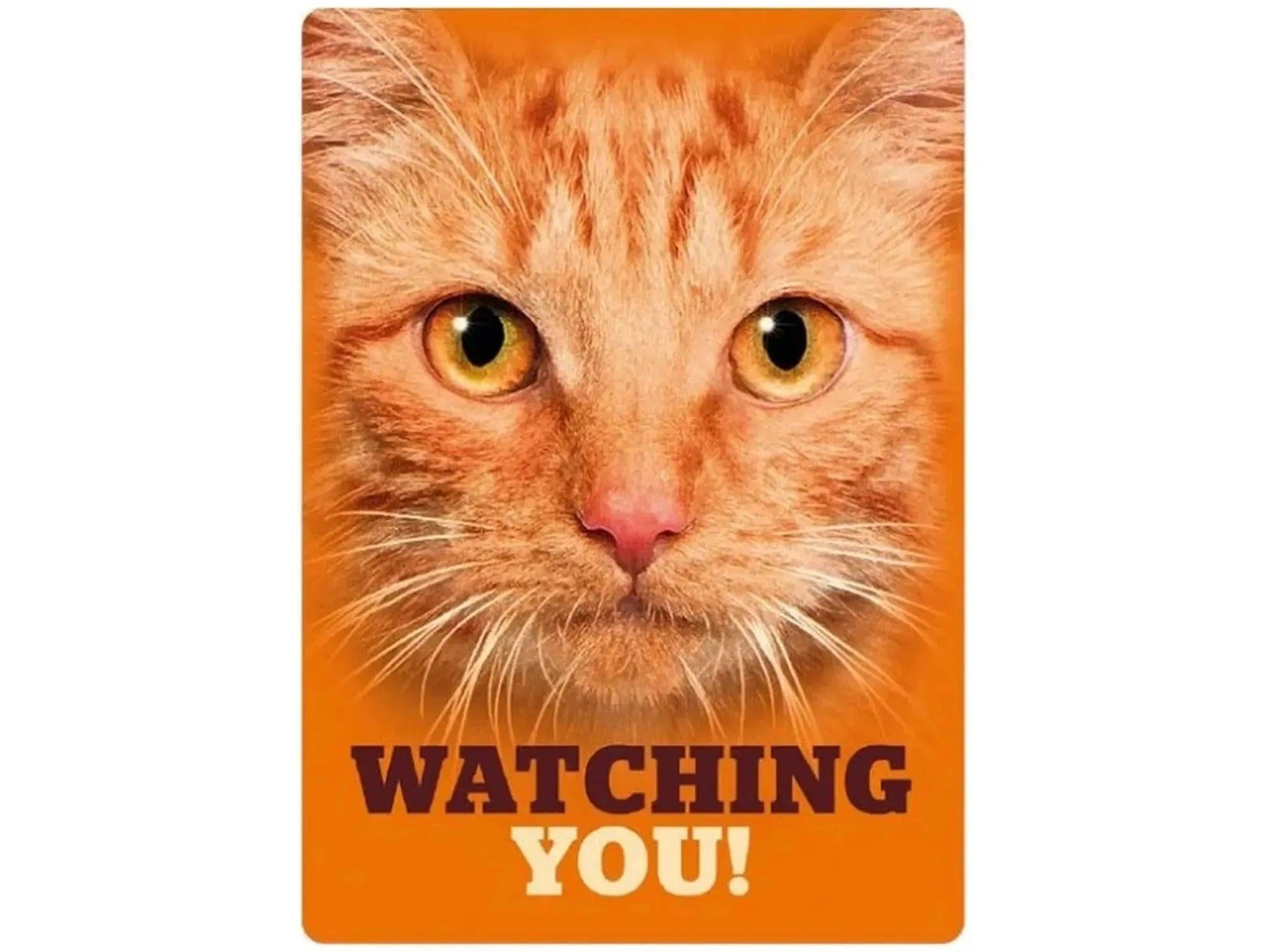 Oransje metallskilt 21x14,8cm med nærbilde av en oransje katt og teksten "WATCHING YOU!".