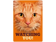 Metallskilt Watching You! Orange Katt 21×14,8cm