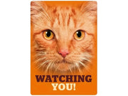 Oransje metallskilt 21x14,8cm med nærbilde av en oransje katt og teksten "WATCHING YOU!".