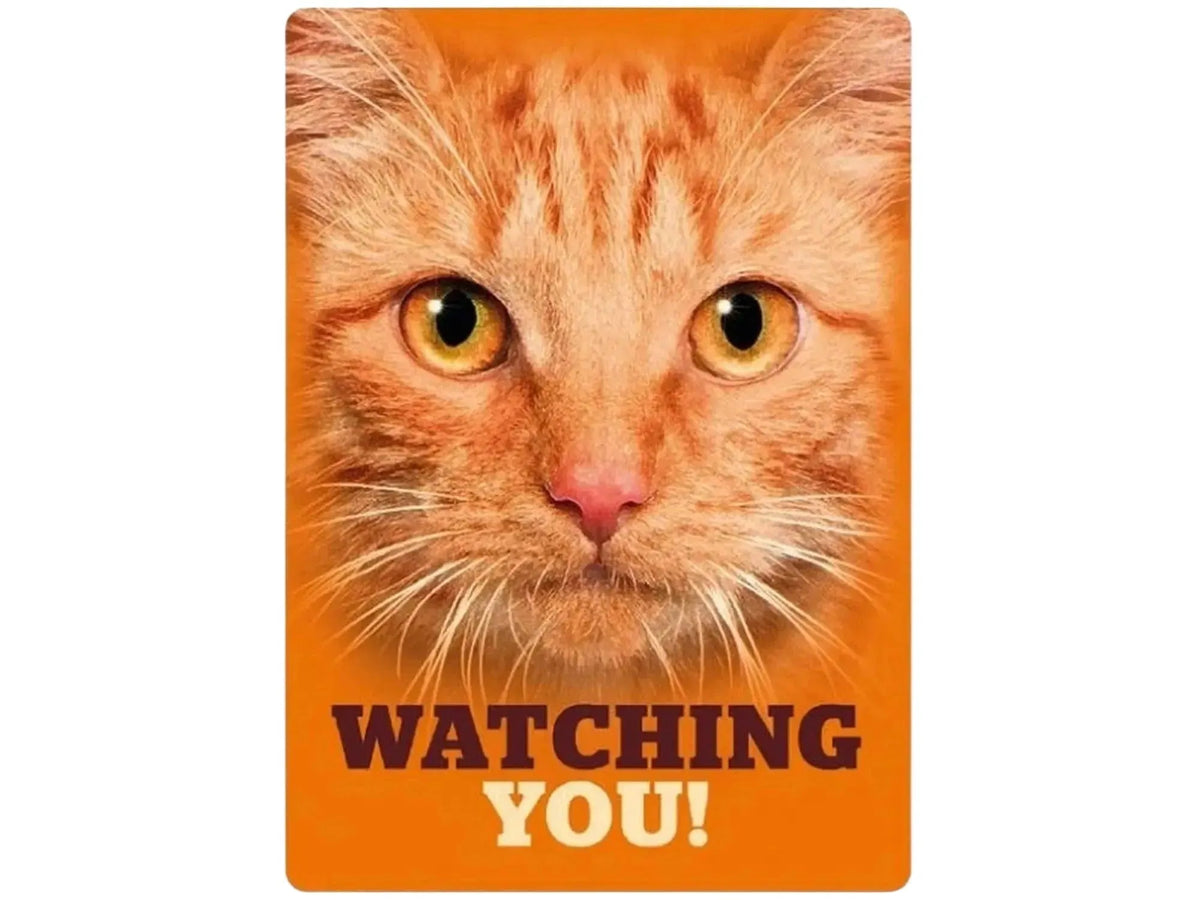 Oransje metallskilt 21x14,8cm med nærbilde av en oransje katt og teksten "WATCHING YOU!".