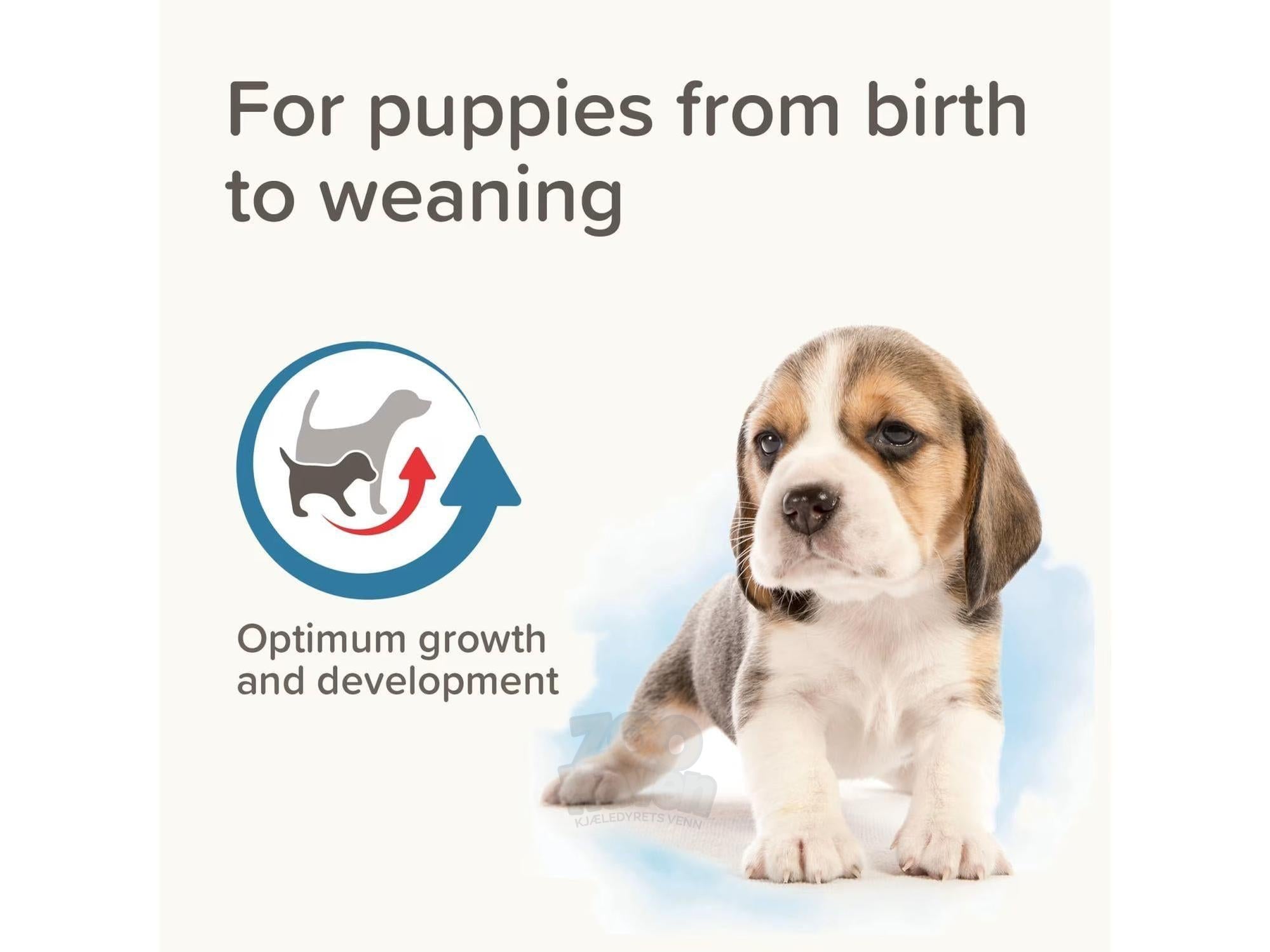 Morsmelk Puppy - Lactol Beaphar