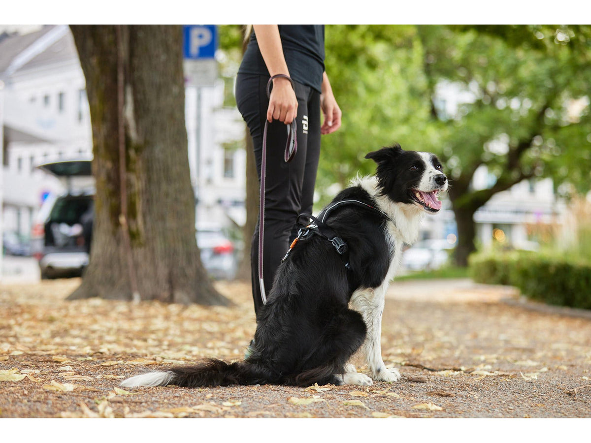 Non-stop dogwear Move leash leiebånd – Blå – modellen vist i annen farge
