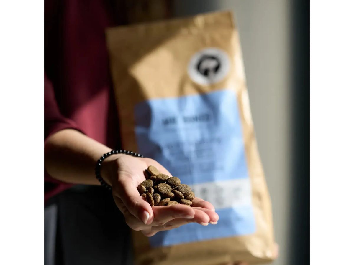 Mr. Bones Freshtrusion Ørret – kornfritt tørrfôr til hund, 2 kg
