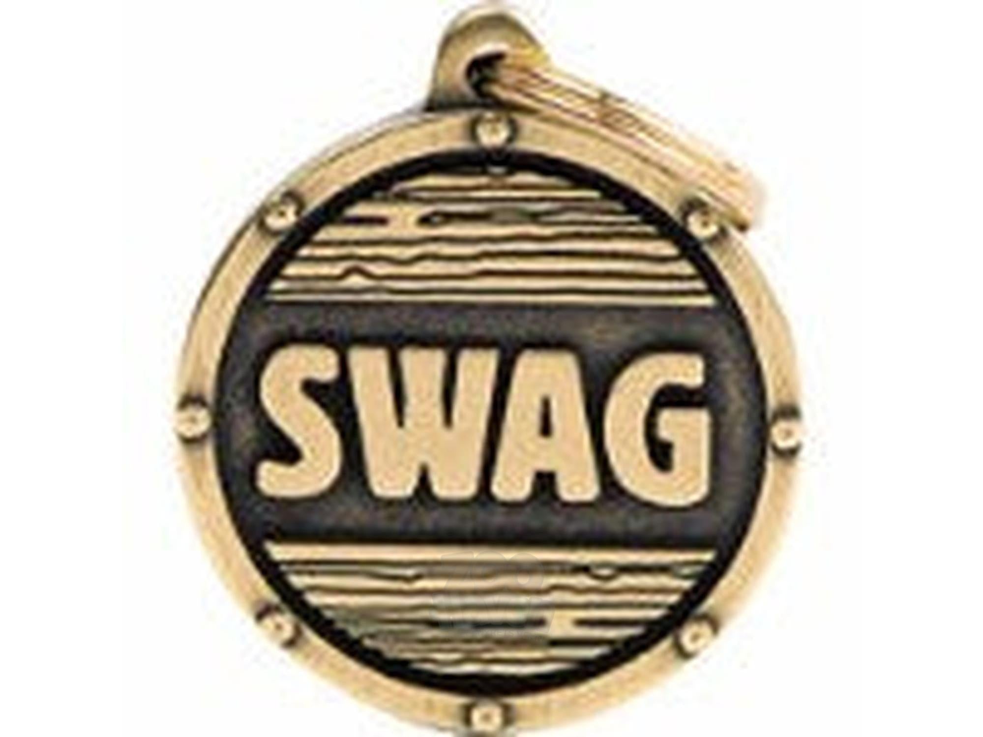 MyFamily Bronx Swag ID-brikke til hund og katt – graverbar navnebrikke