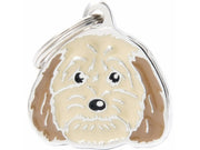 Cockapoo