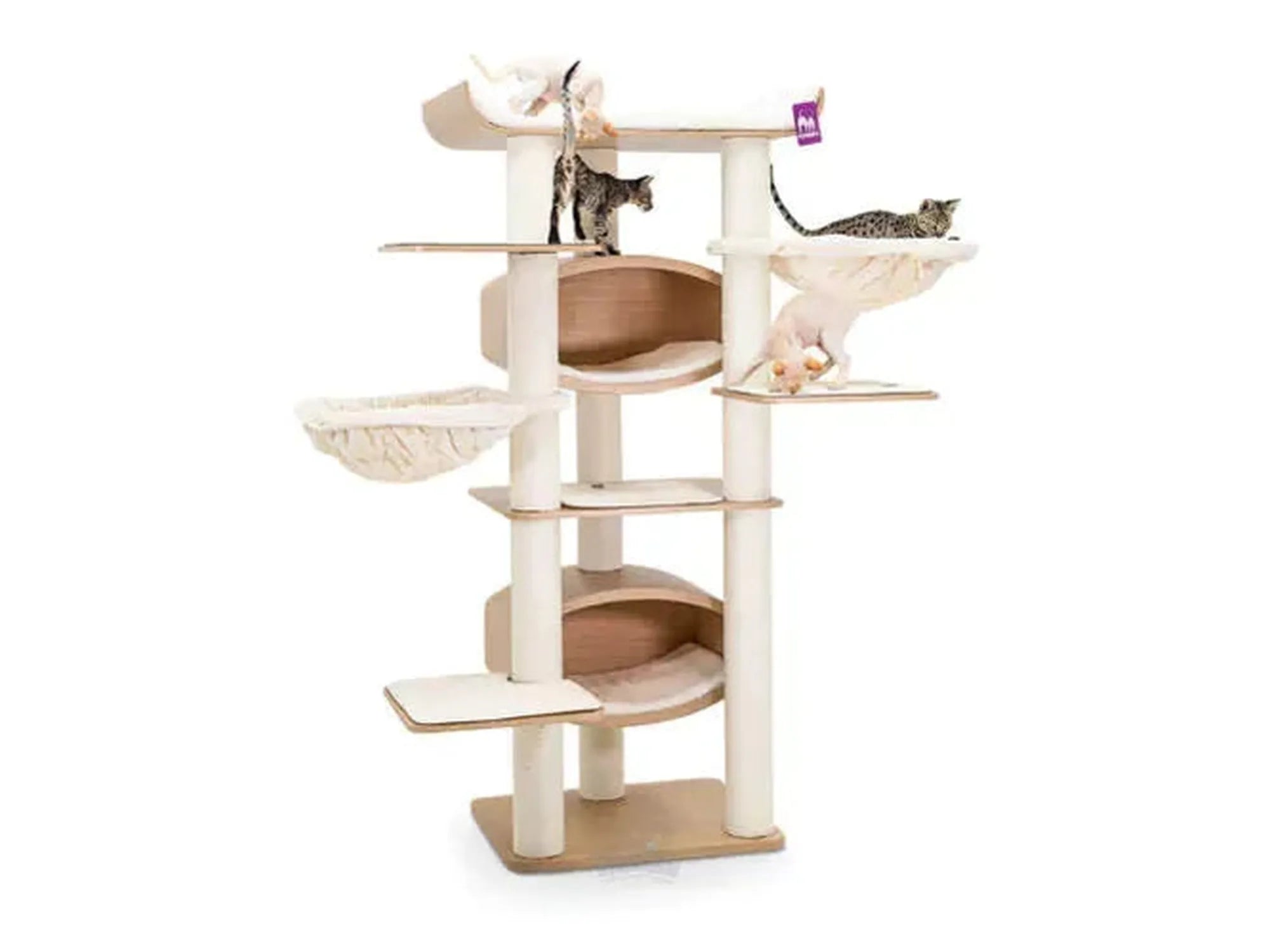 Natural Stars Scorpius 187 (90x60x187cm) - Petrebels