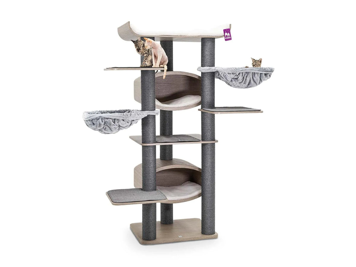 Petrebels Scorpius 187 kattetre i old grey