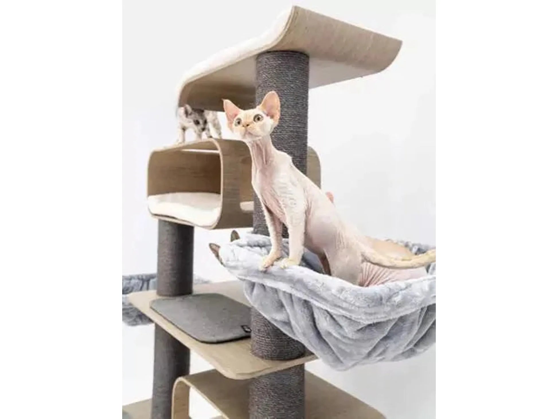 Elegant, beige og grått klorestativ med en nakenkatt i en myk hengekøye og en kattunge på en hylle.
