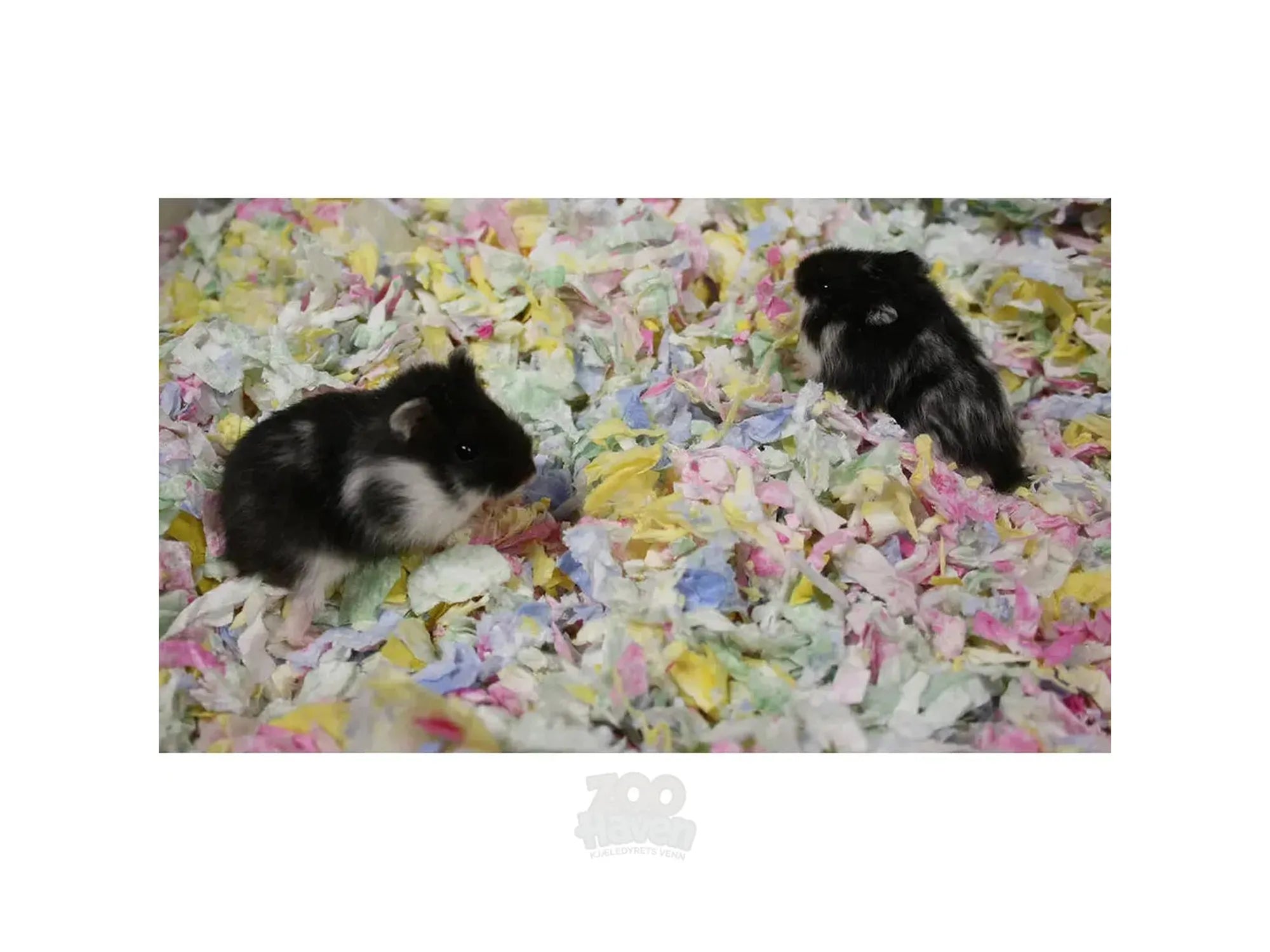 Naturlig pappersstrø 4,1 l / 570 g smådyrmix farge