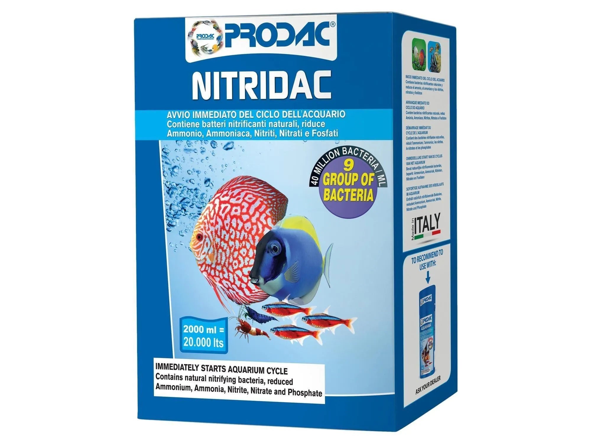 Blå og hvit Prodac Nitridac akvariebehandling, 2000ml, med fiskemotiv og "Made in Italy" stempel.