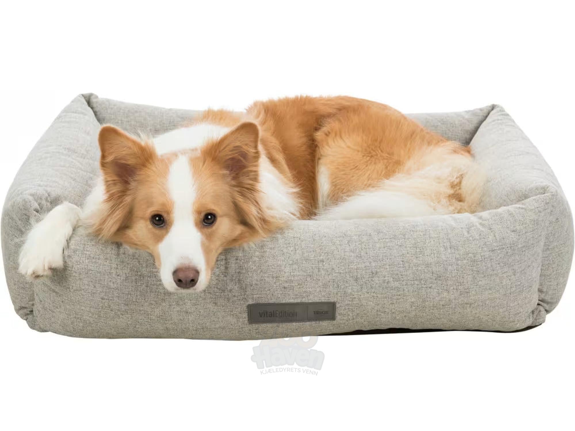 Noah Vital Hundeseng – Vevd Soft Polyester