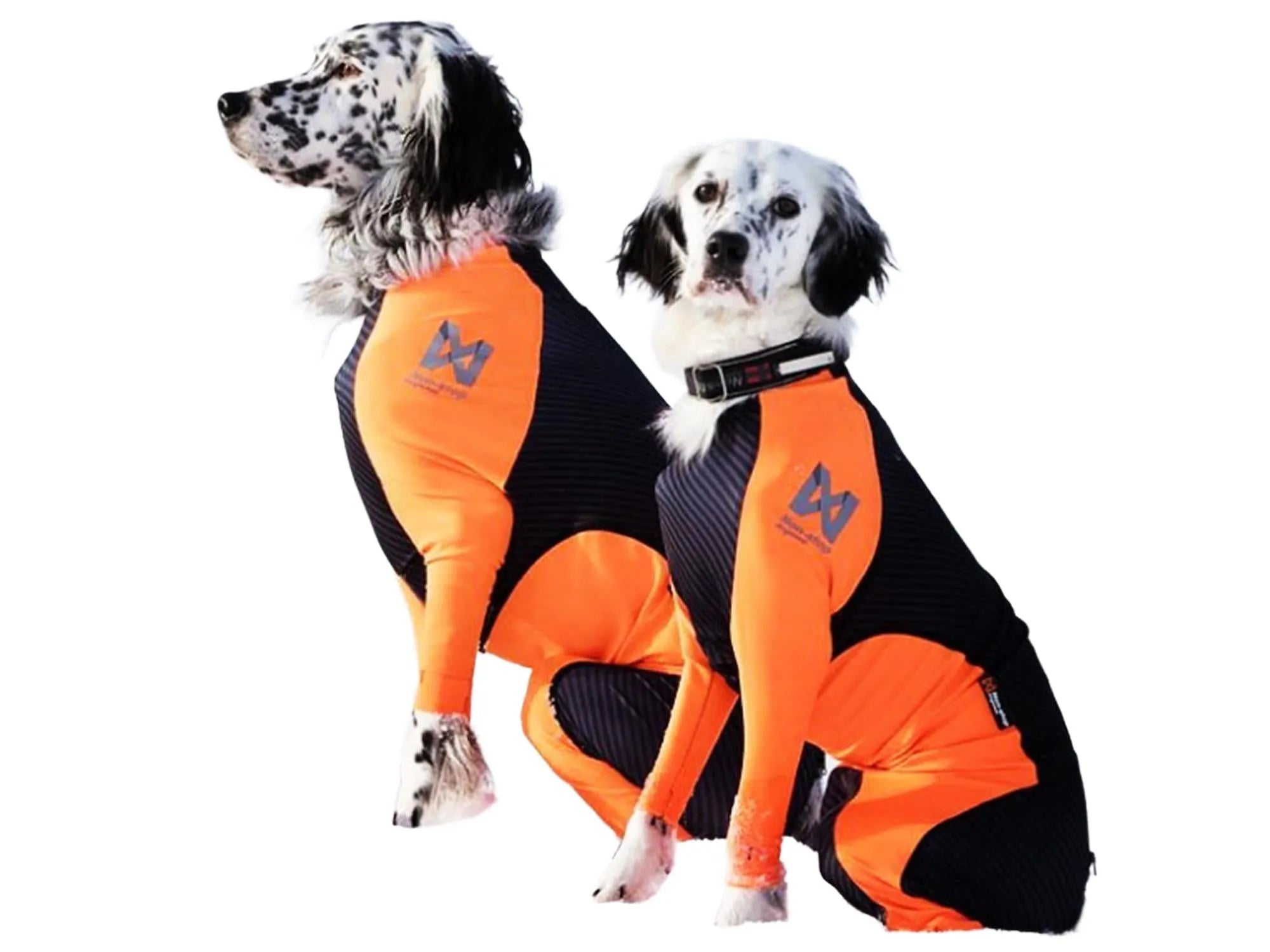 Non-Stop Protector Snow vinterdress til hannhund i sort og oransje