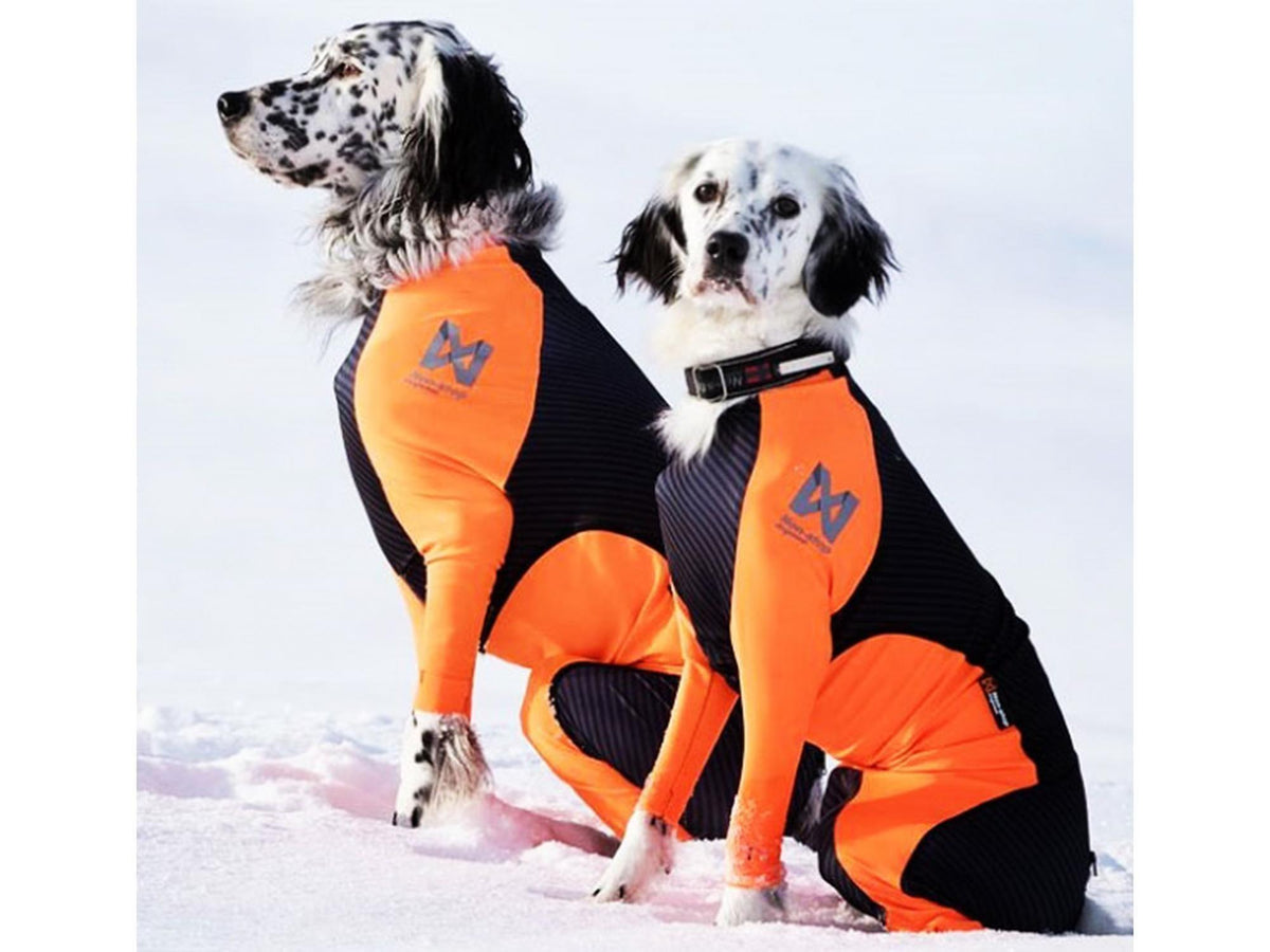 Non-Stop Protector Snow vinterdress til hannhund i sort og oransje