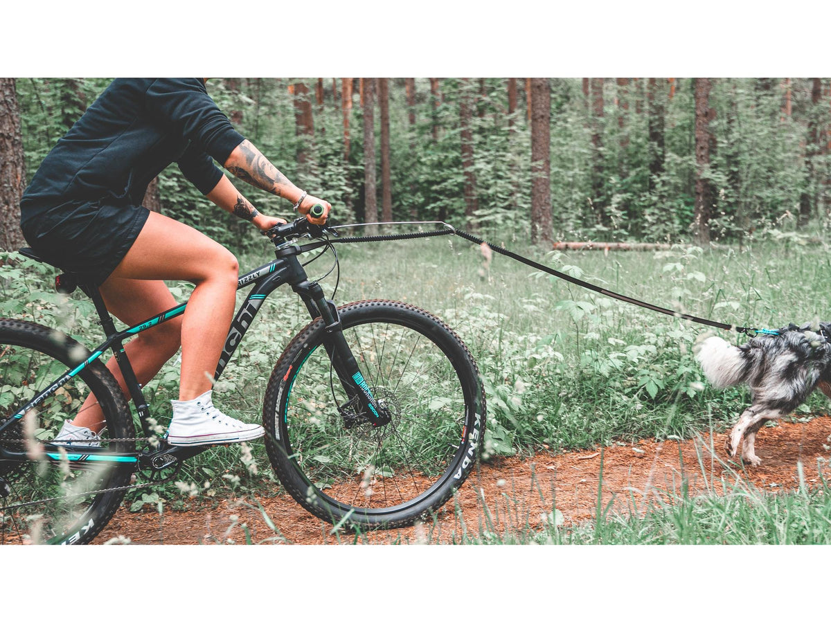 Non-stop dogwear Bike antenna sykkelantenne – Grå
