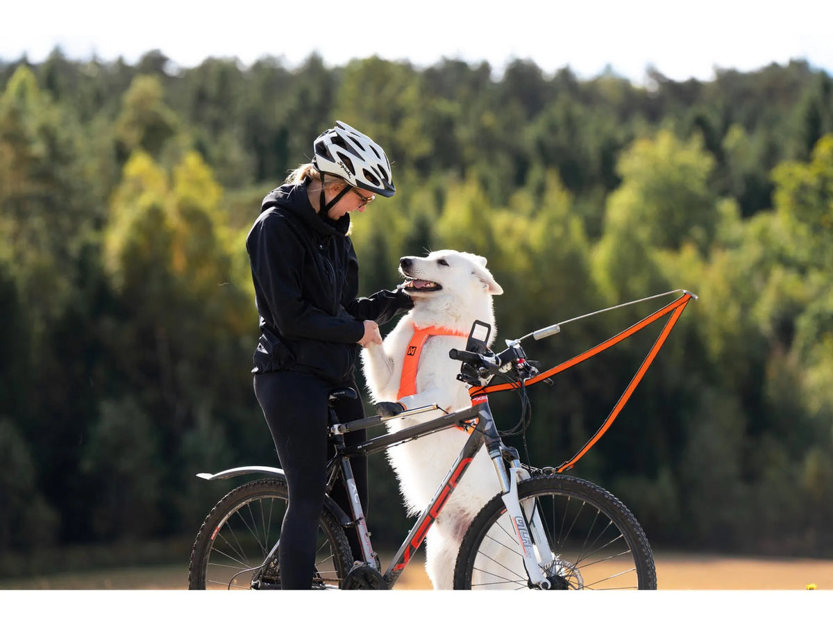 Non-stop dogwear Bike antenna KLICKfix package sykkelantenne – Grå